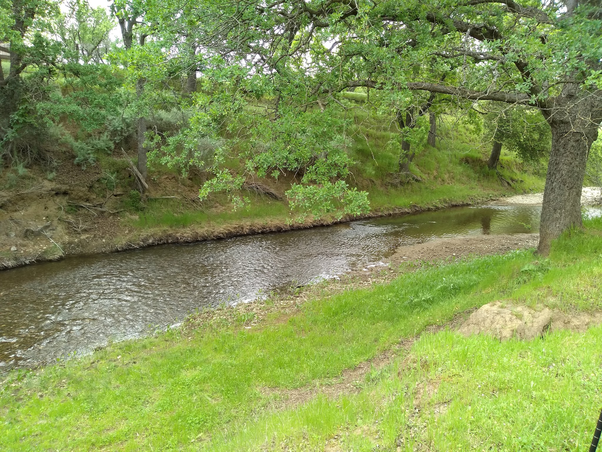Round Valley Regional Preserve