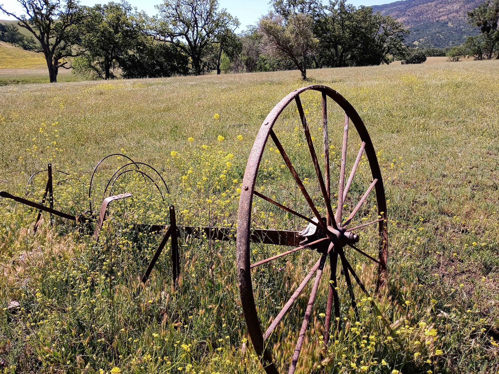 Round Valley Regional Preserve