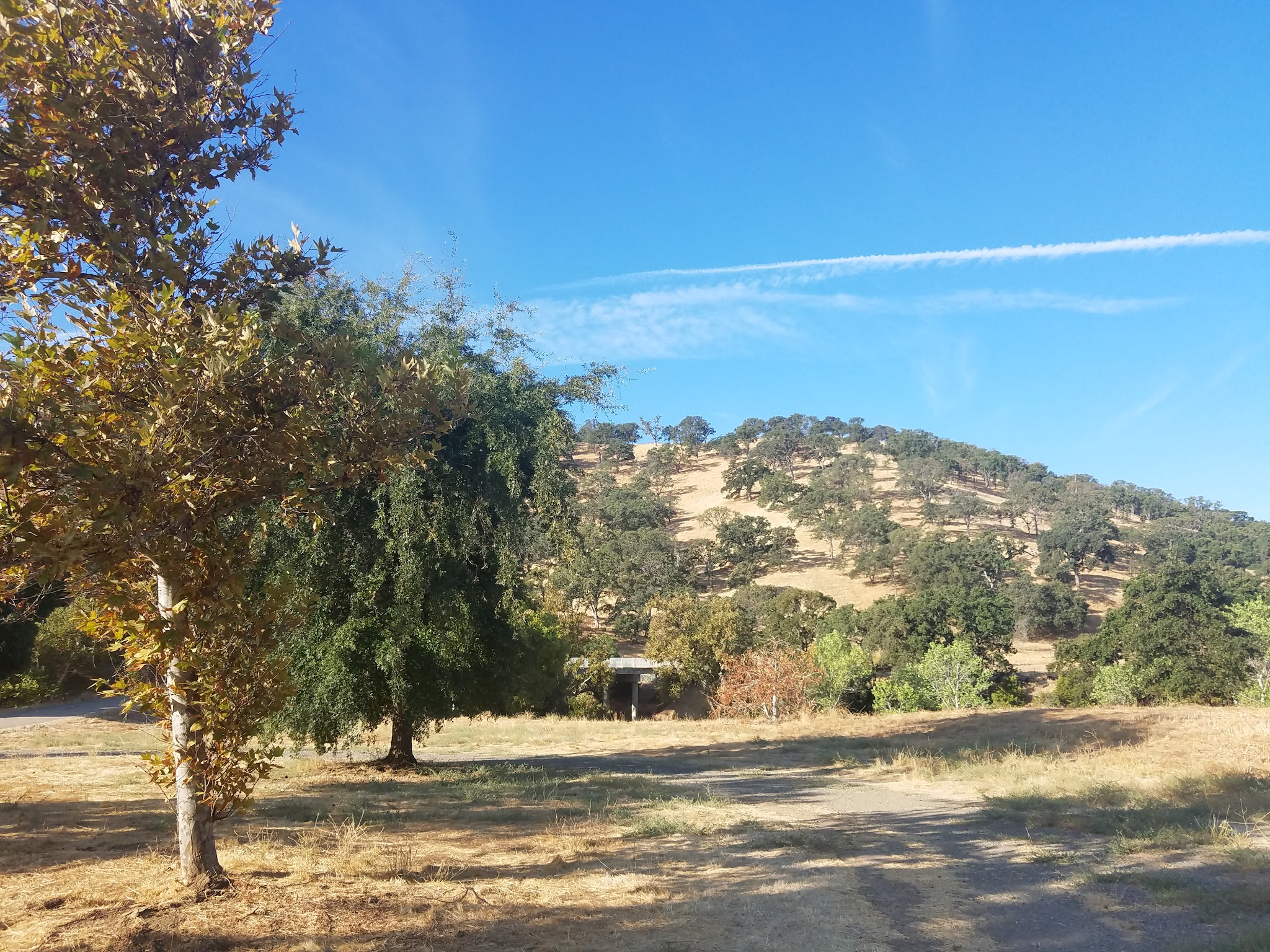 Round Valley Regional Preserve