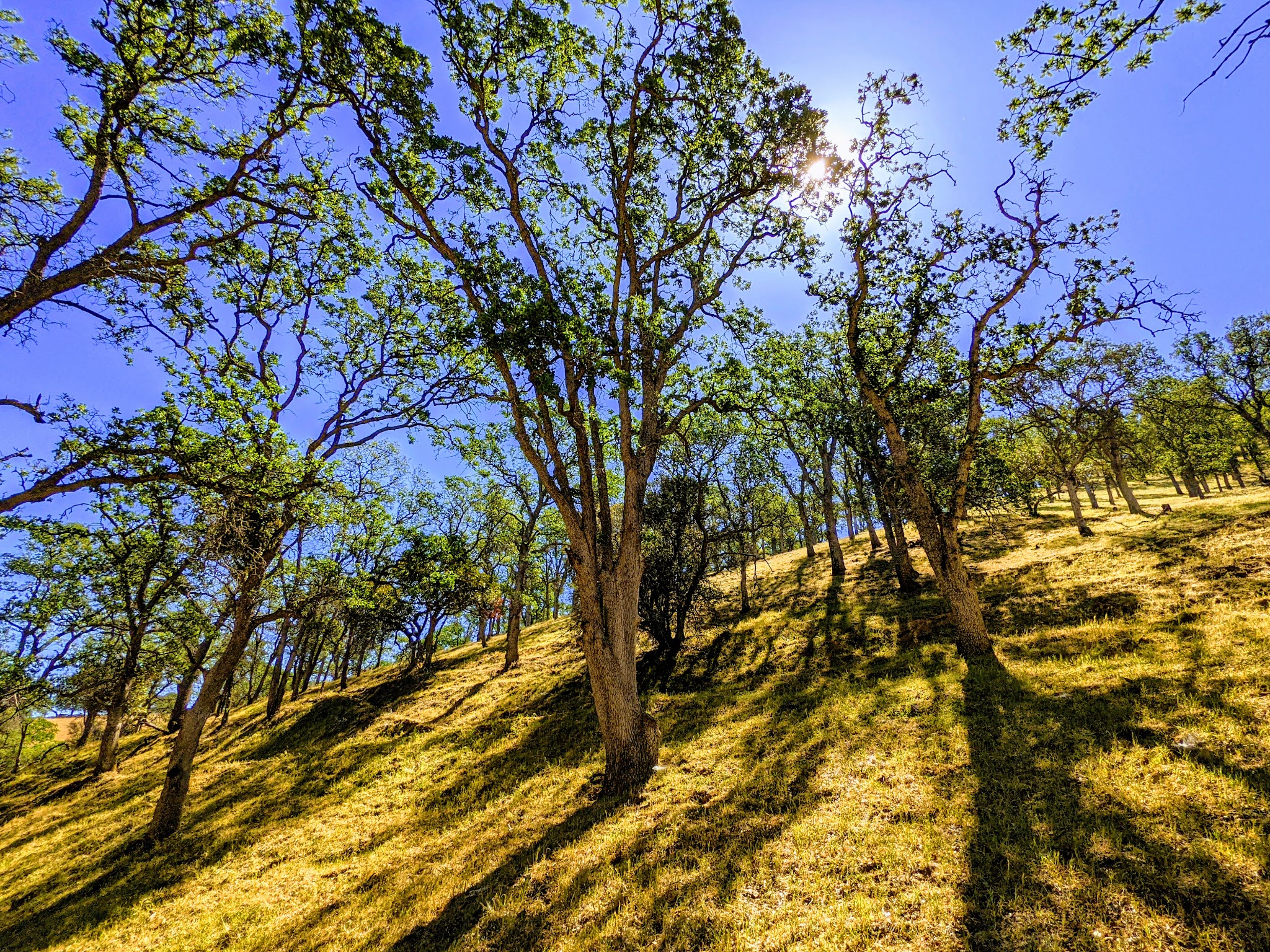 Round Valley Regional Preserve
