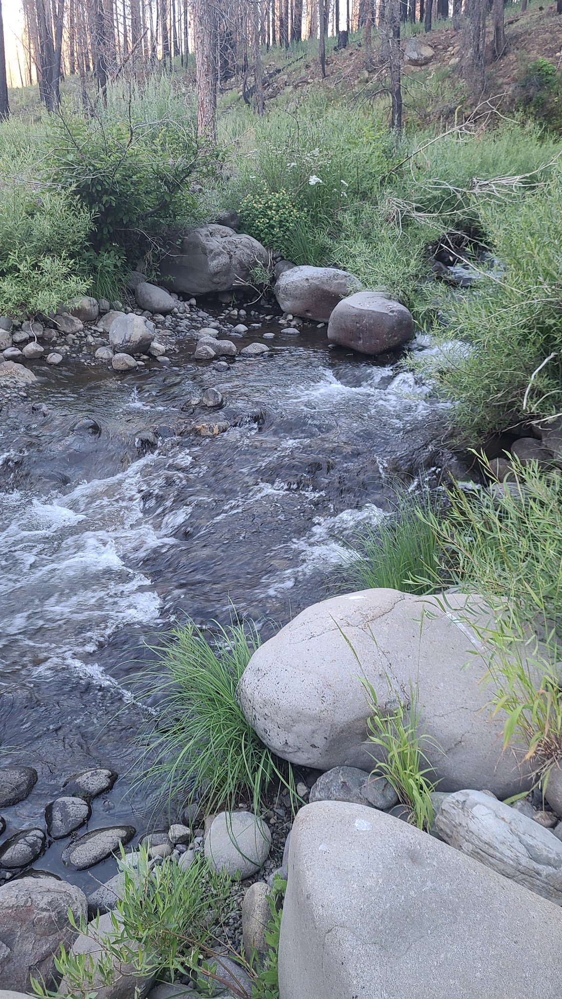 Roxie Peconom Campground