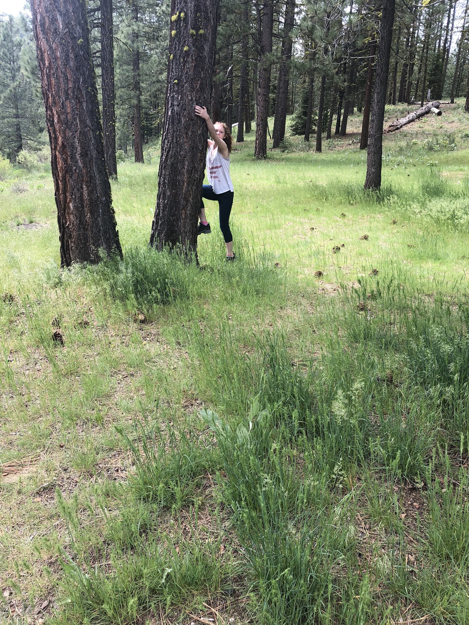 Roxie Peconom Campground