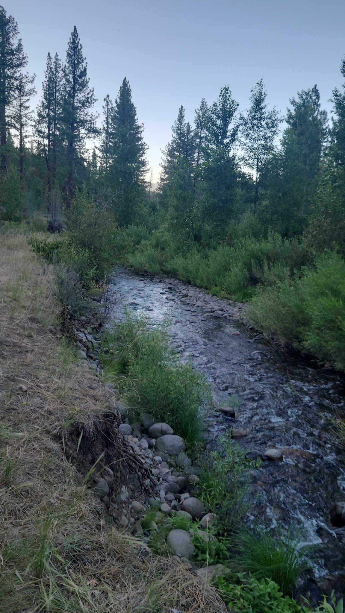 Roxie Peconom Campground