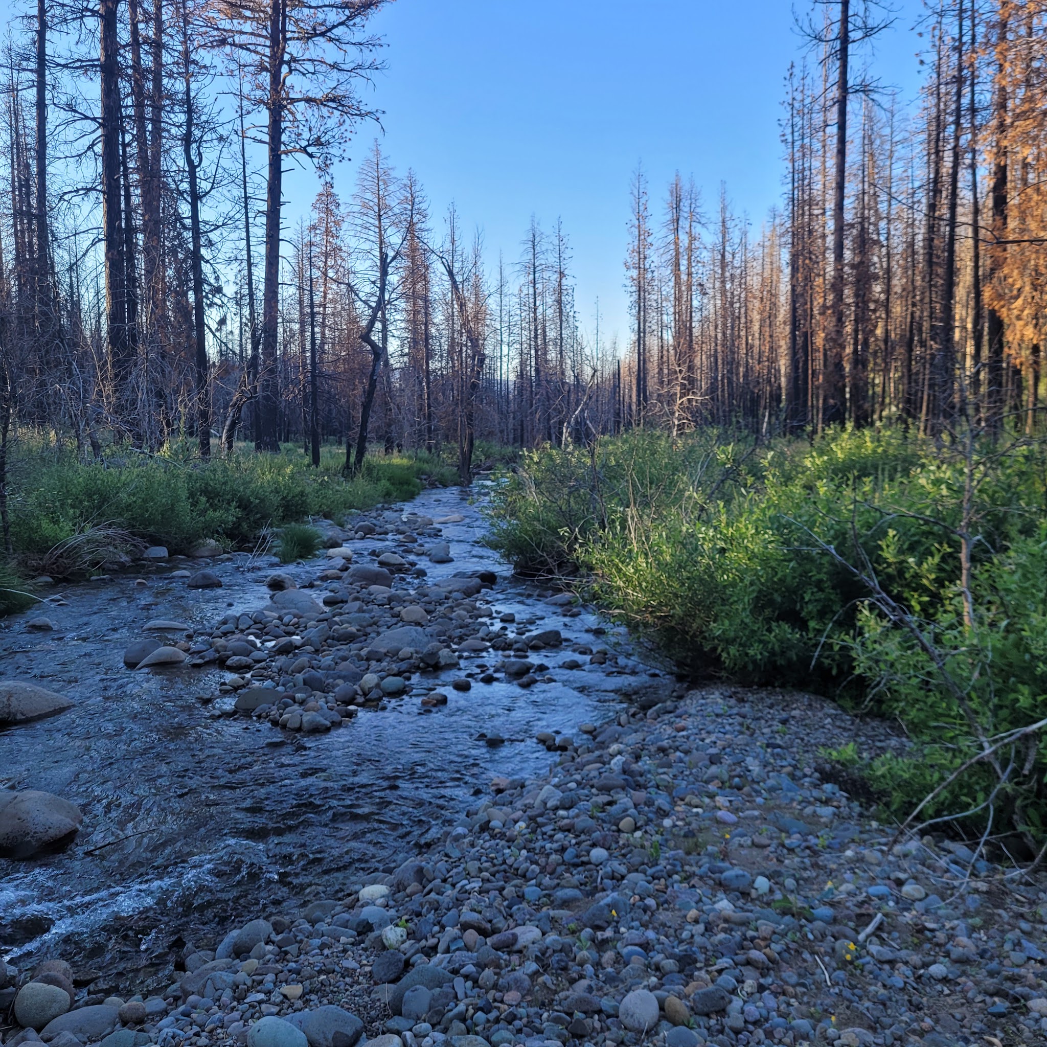Roxie Peconom Campground