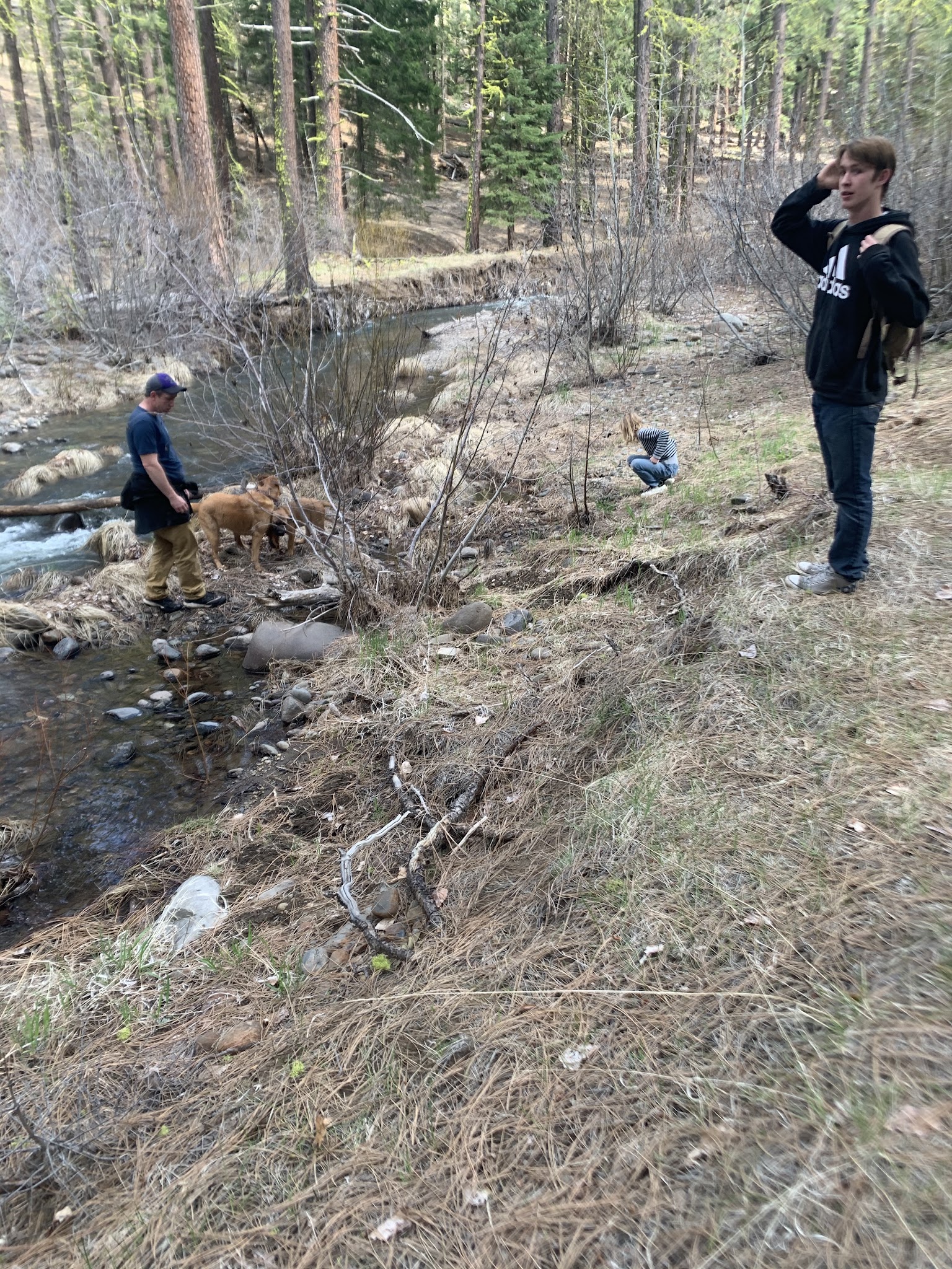 Roxie Peconom Campground