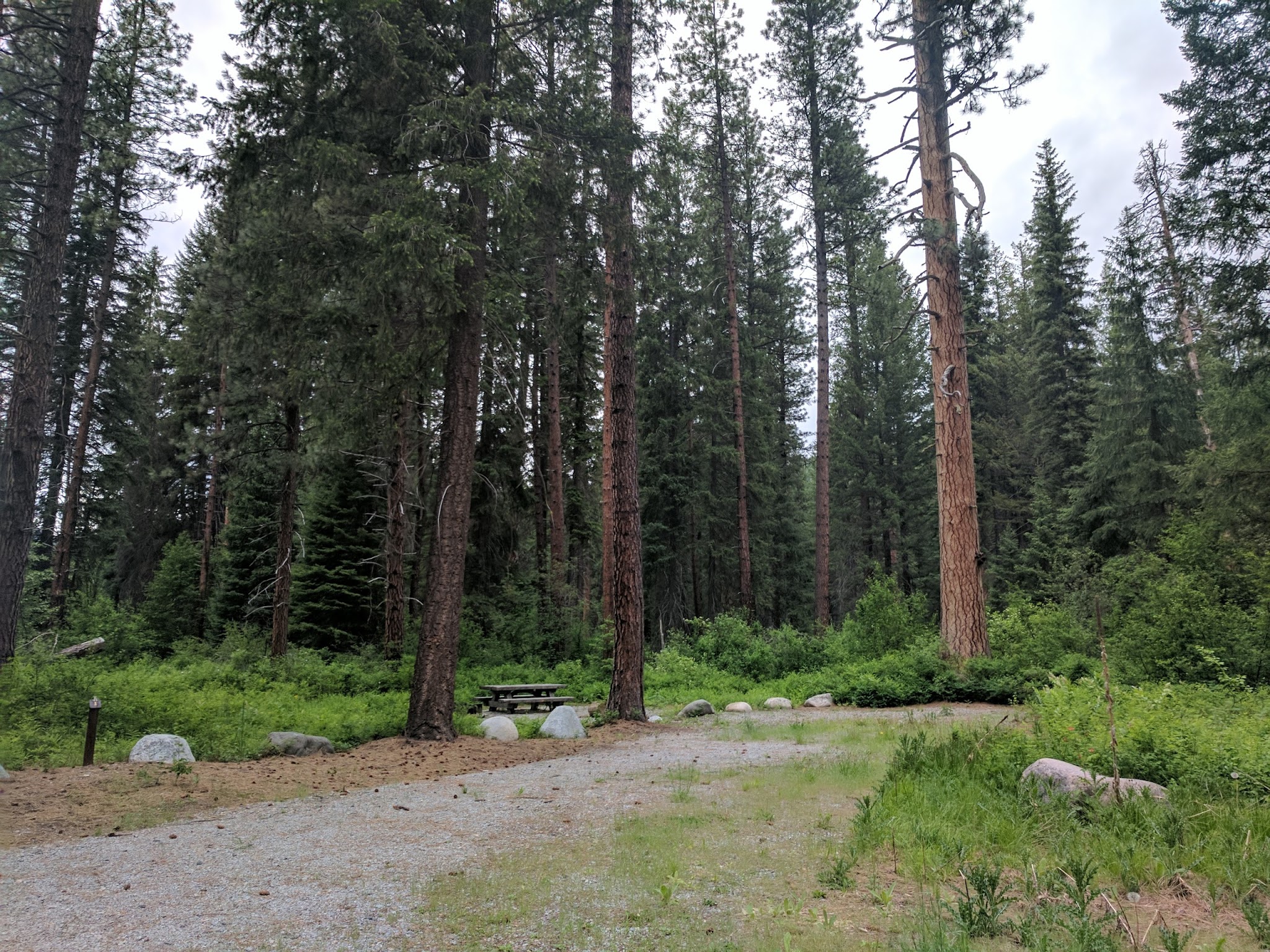 Ruffed Grouse Campground
