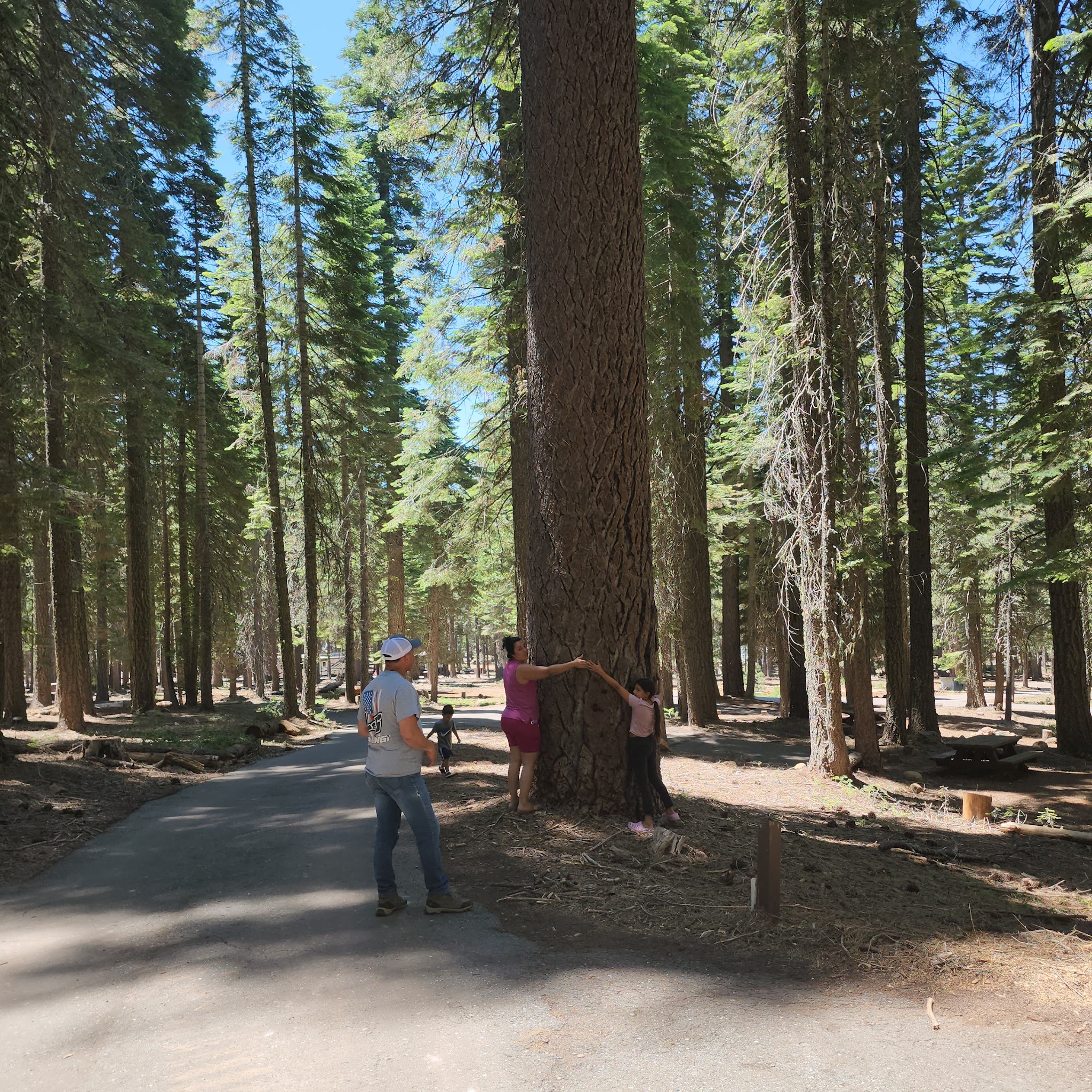 Running Deer Campground