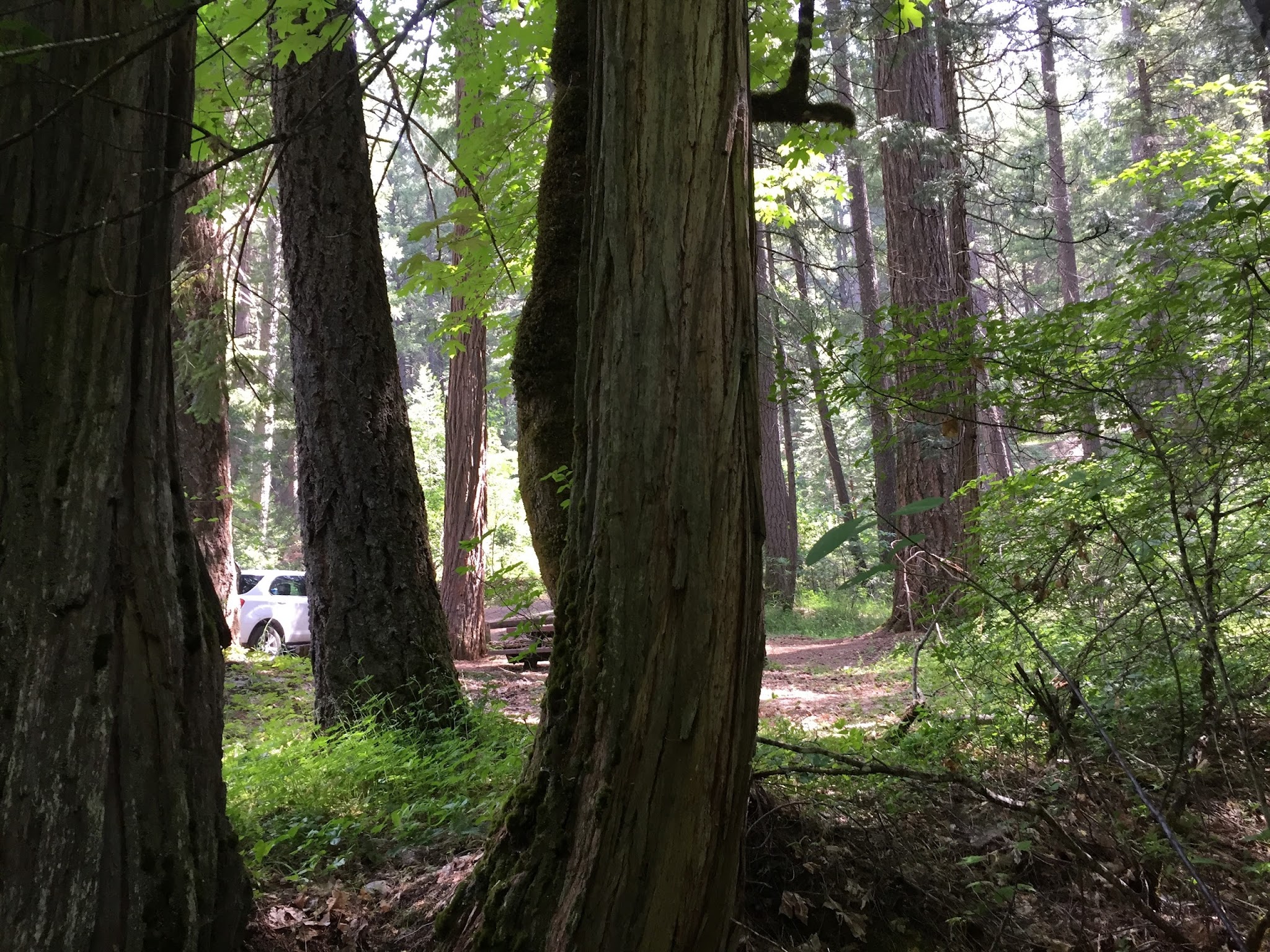 Rush Creek Campground