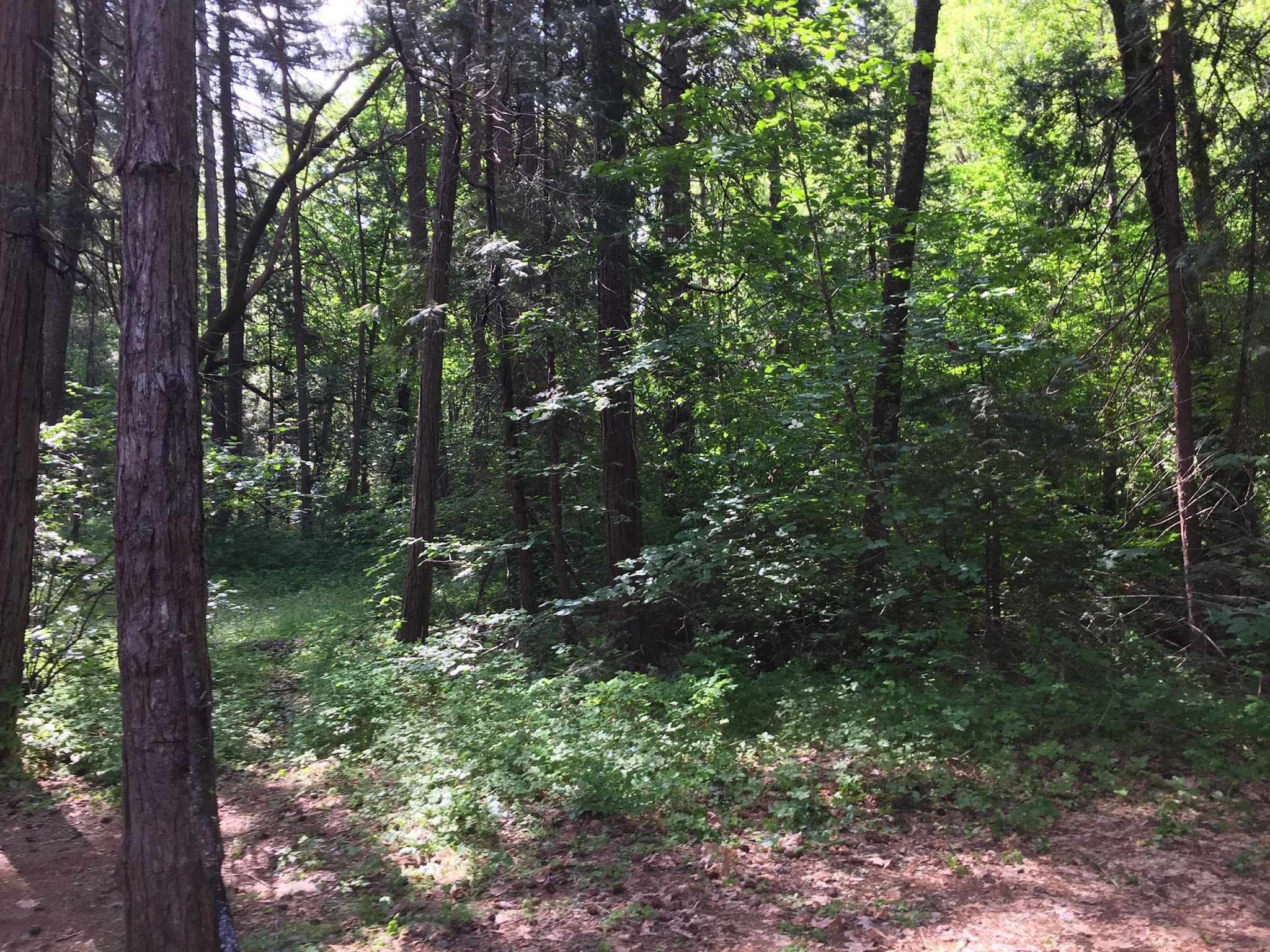 Rush Creek Campground