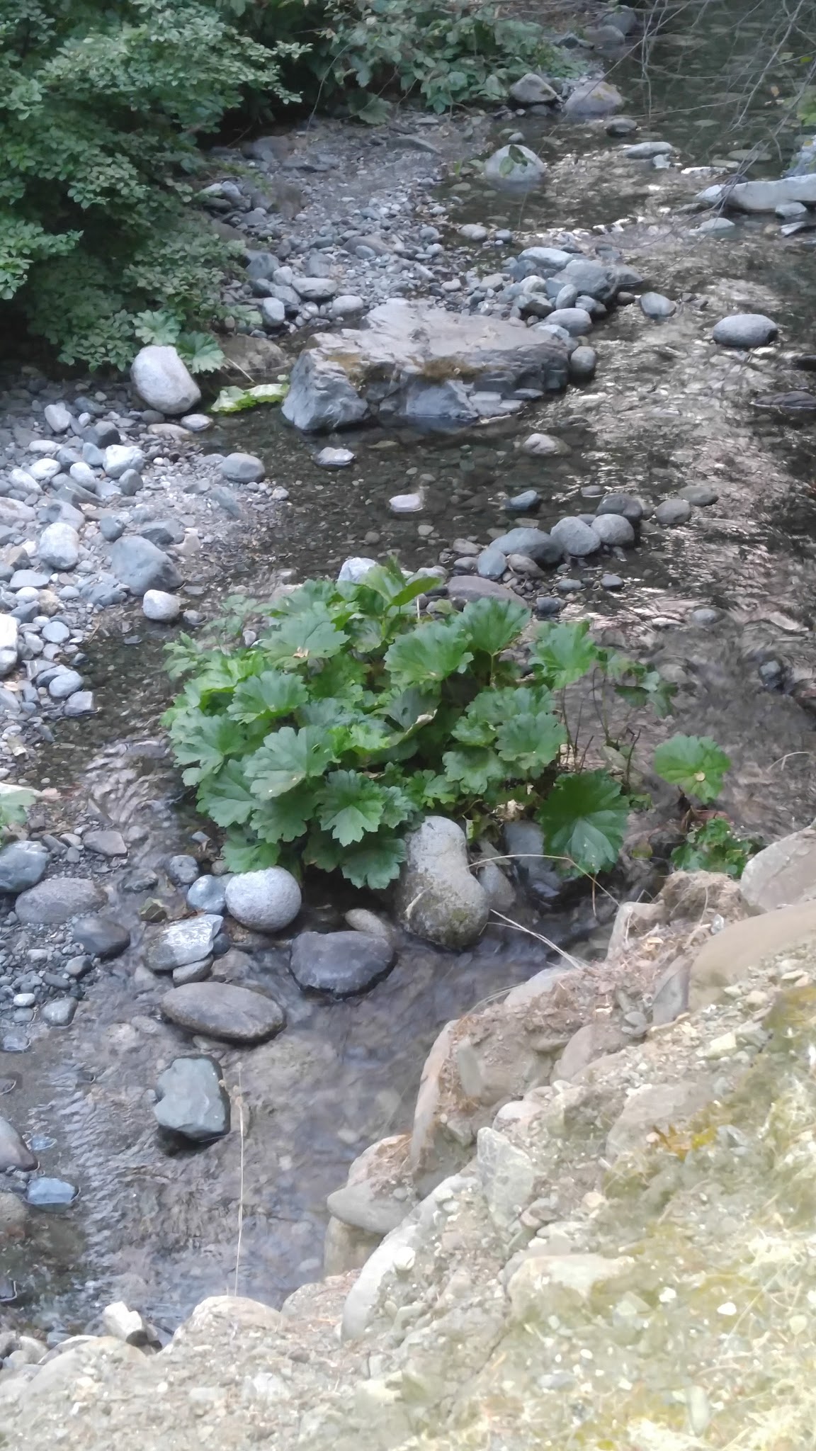 Rush Creek Campground