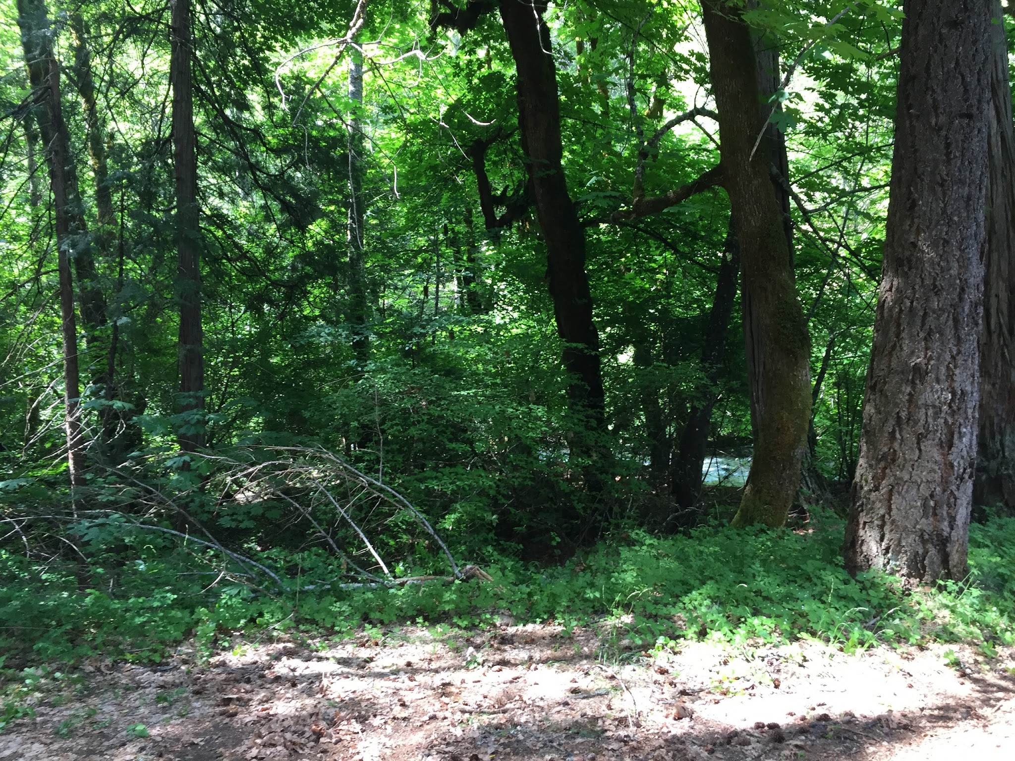 Rush Creek Campground