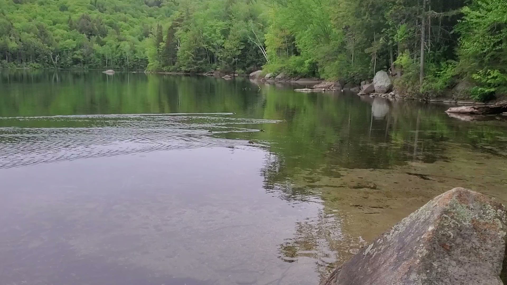 Russell Pond Campground