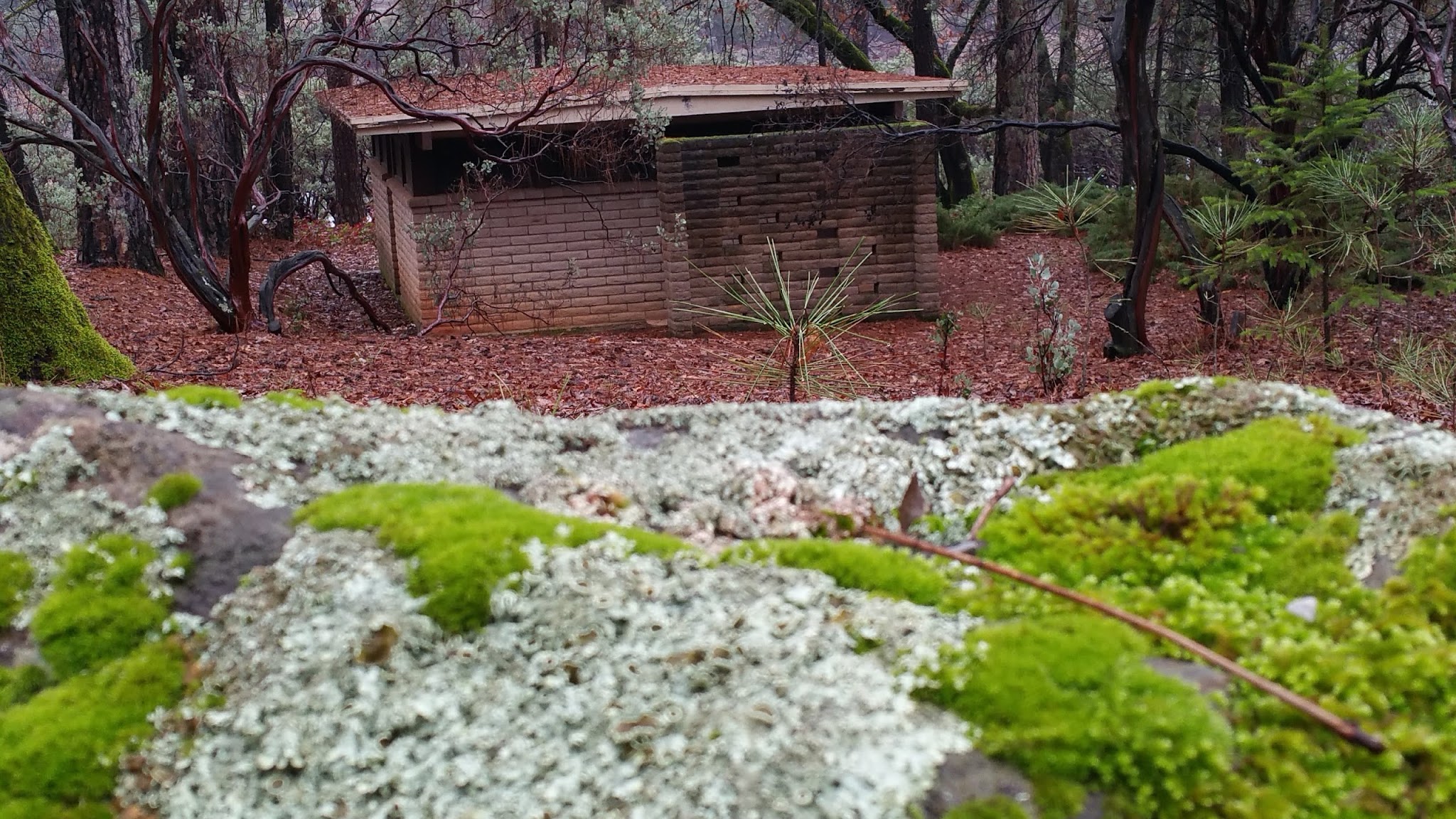 Gregory Creek Group Campground