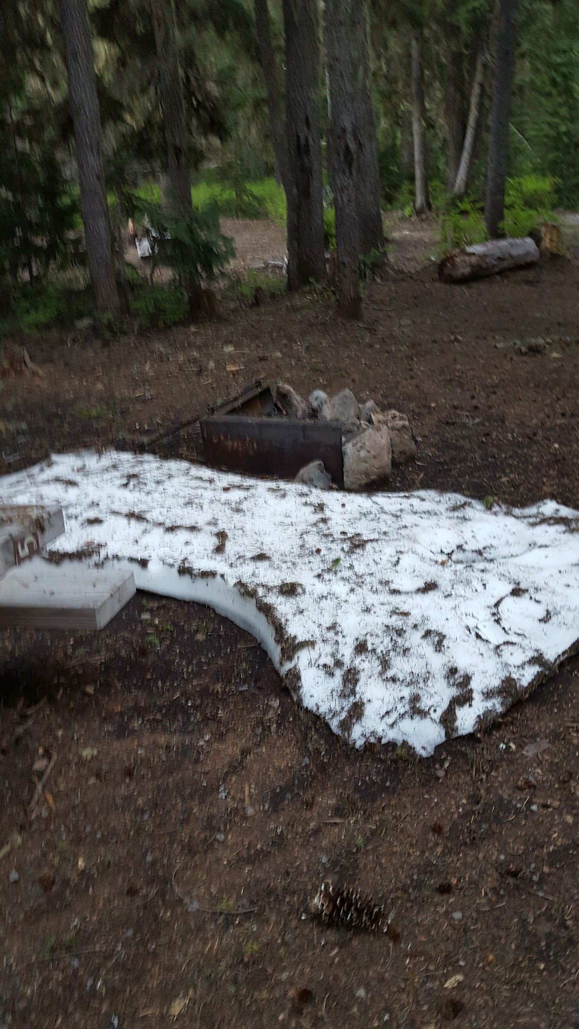 Camp Ten (Olallie Lake) Campground