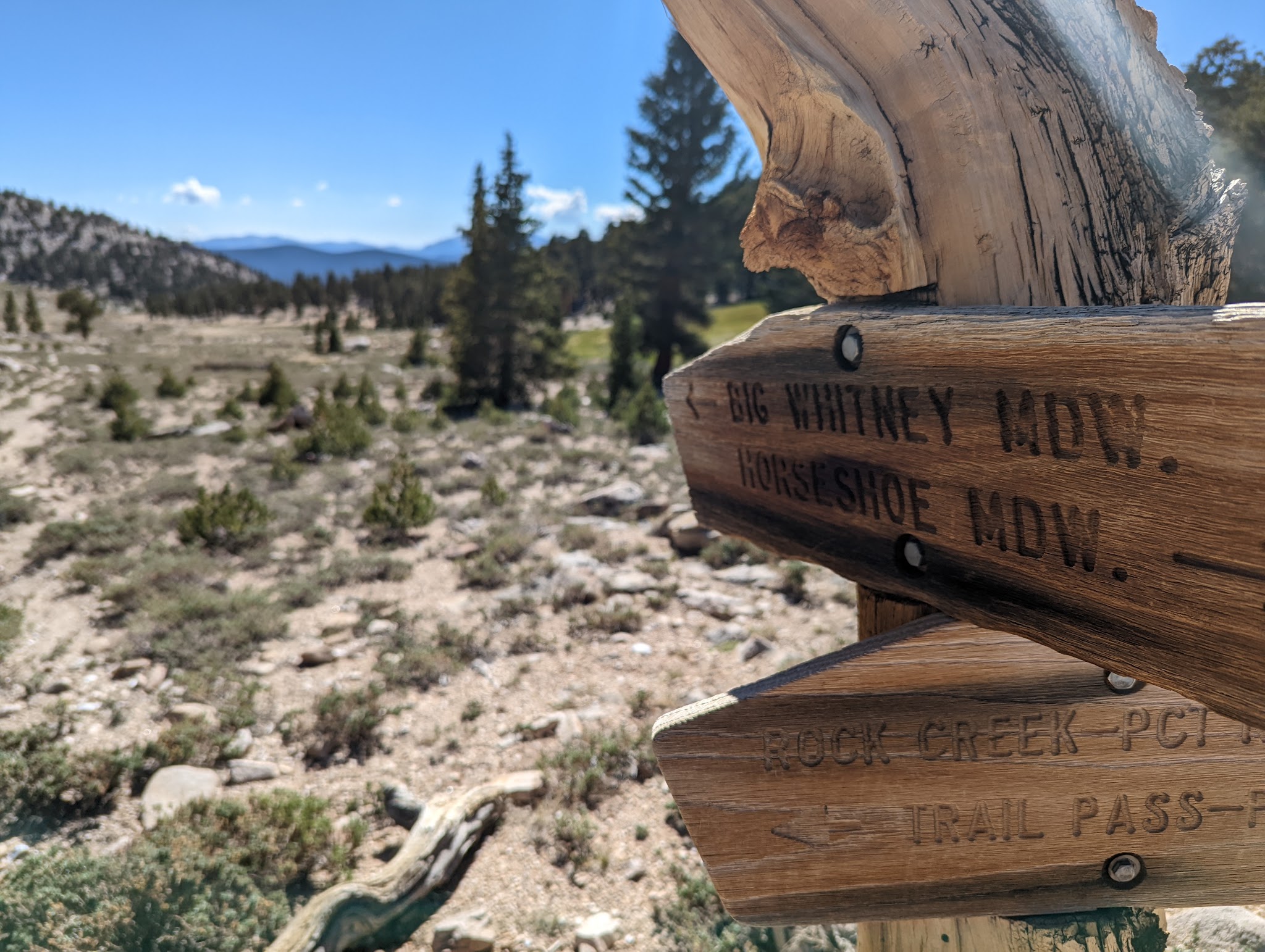 Cottonwood Pass Walk In Campground