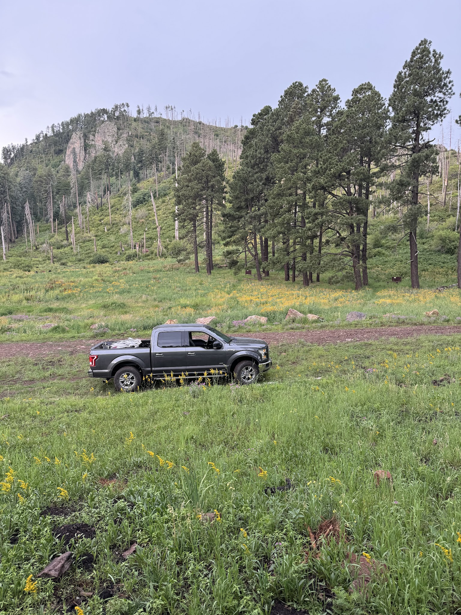 Rustler Park Campground