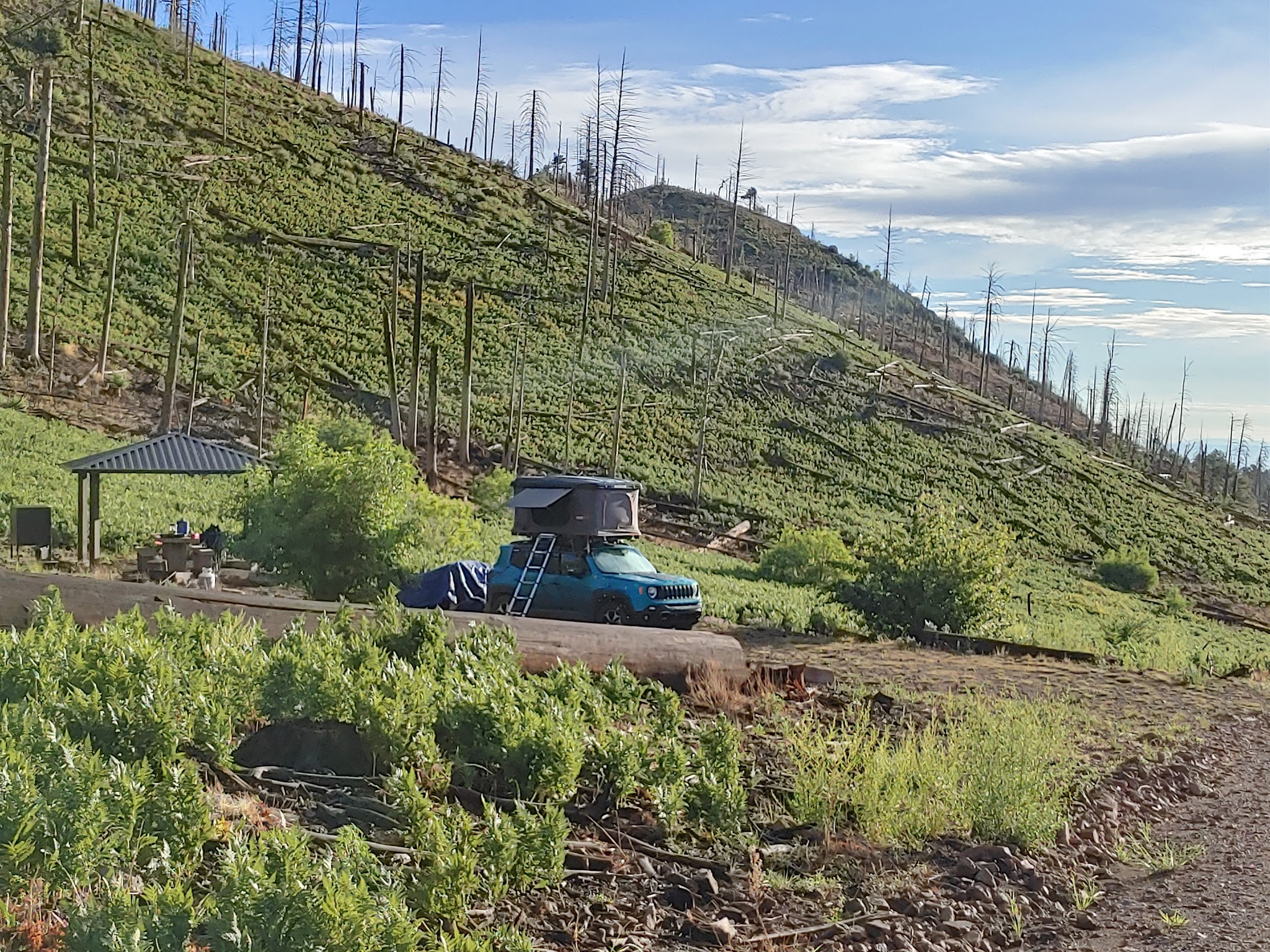 Rustler Park Campground