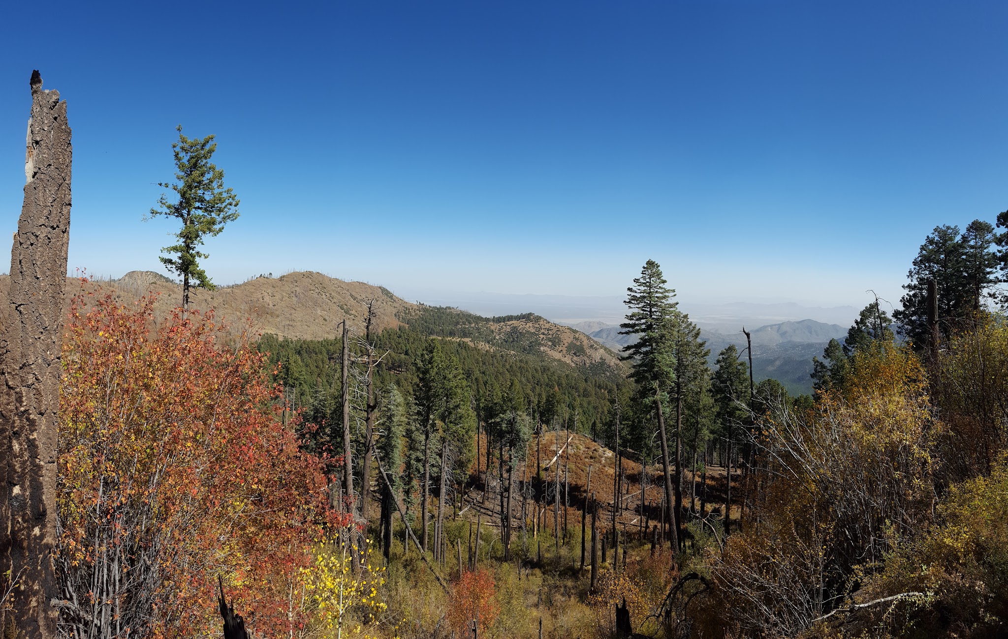 Rustler Park Campground
