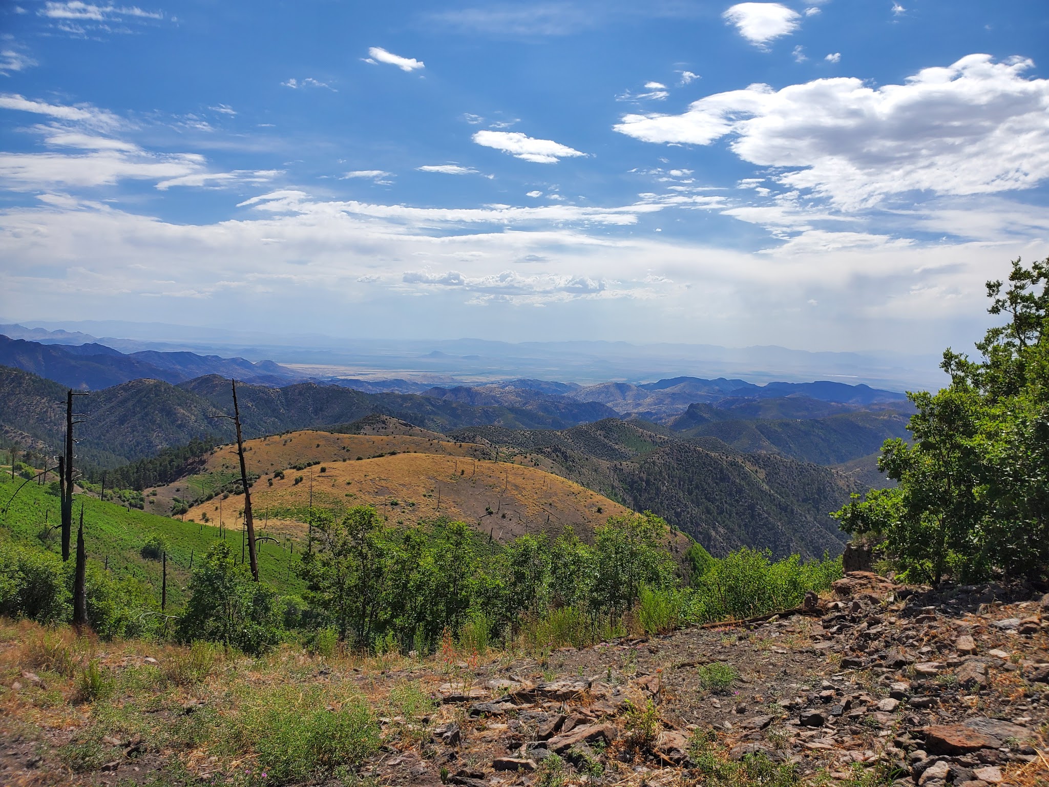 Rustler Park Campground