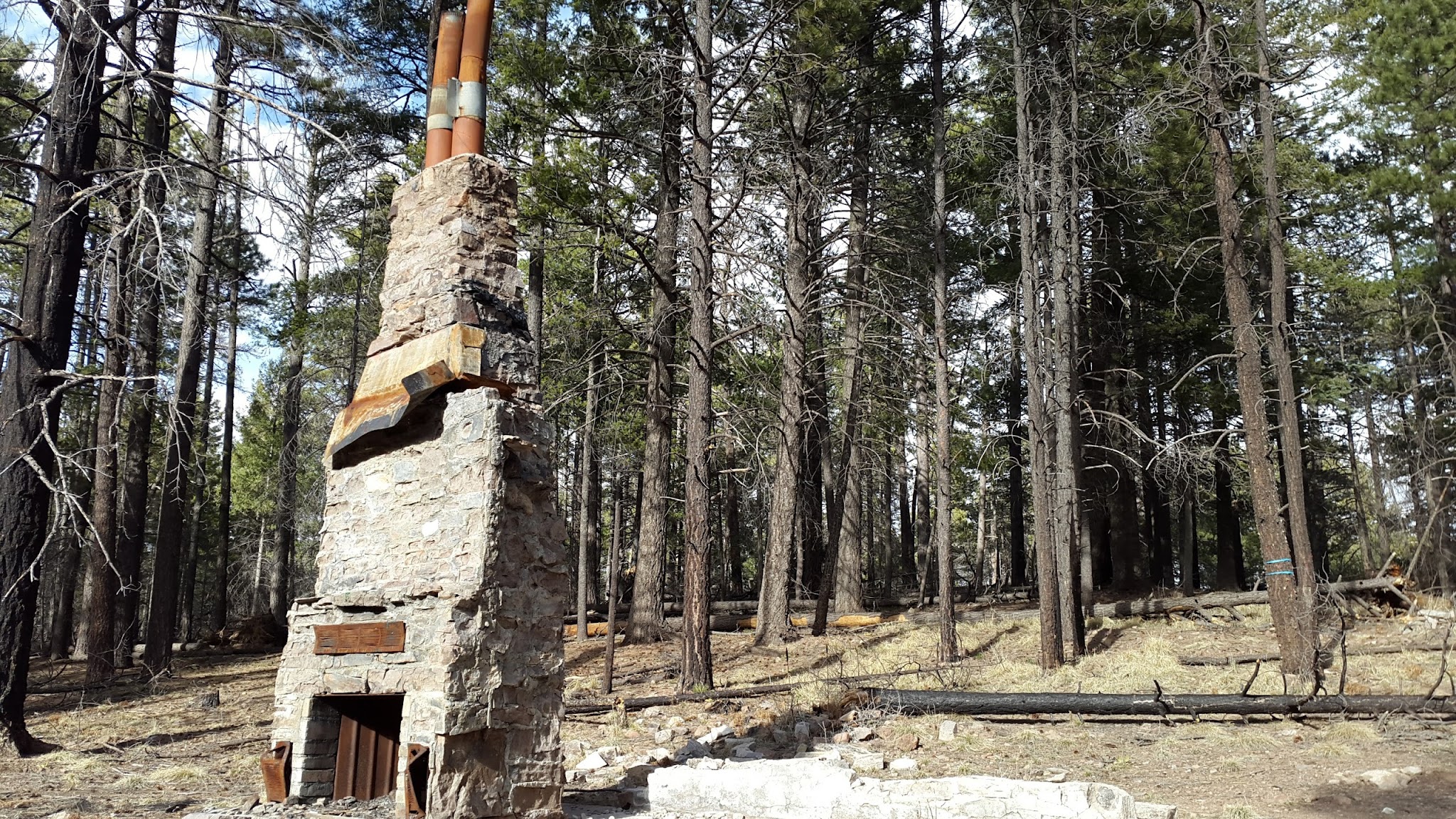 Rustler Park Campground