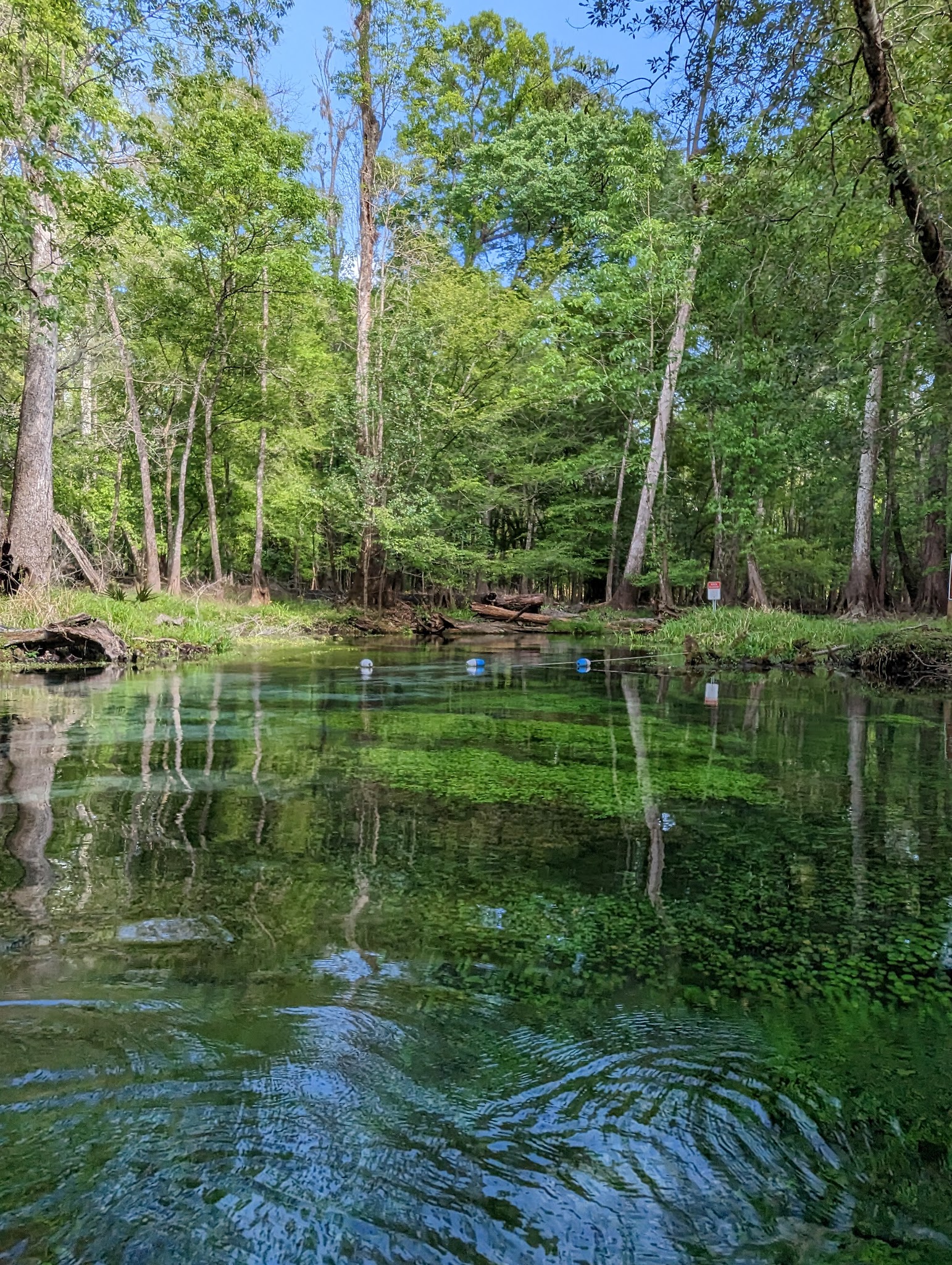 Ruth B. Kirby Gilchrist Blue Springs State Park Campground