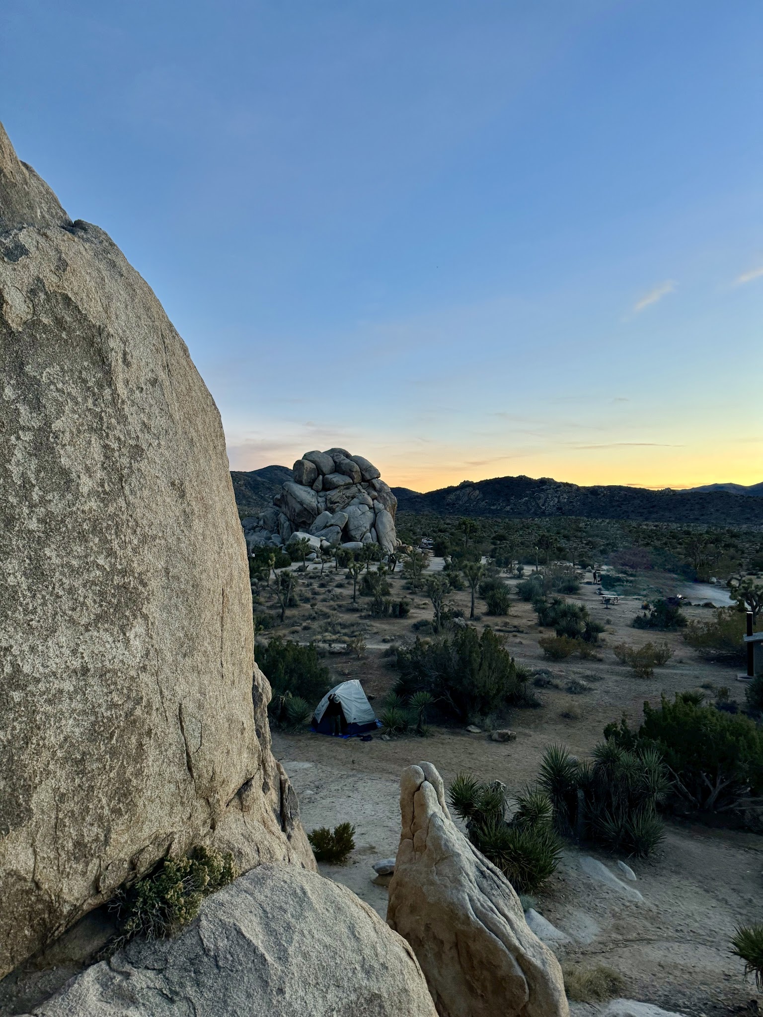 Joshua Tree Camping