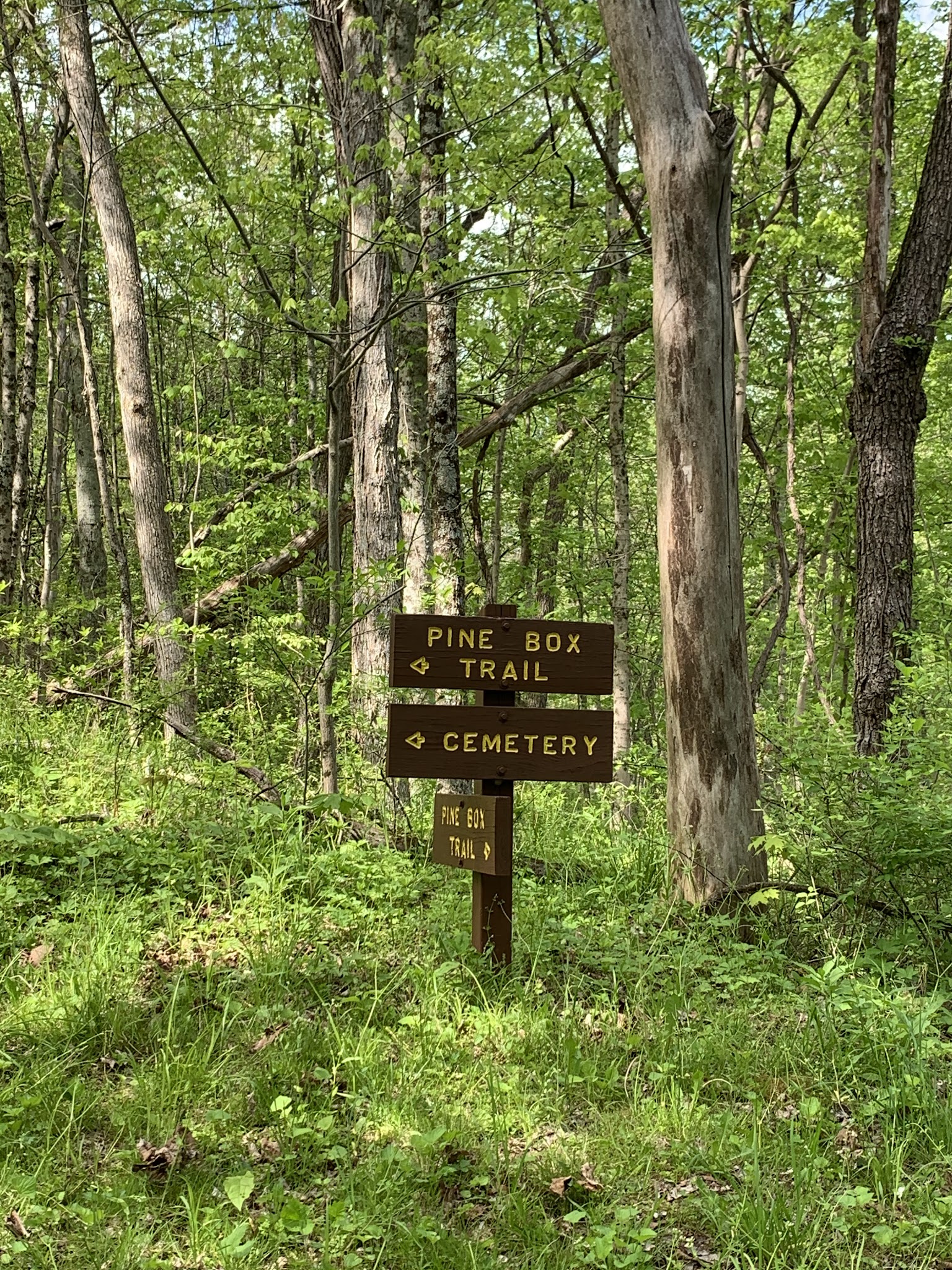 Ryerson Station State Park