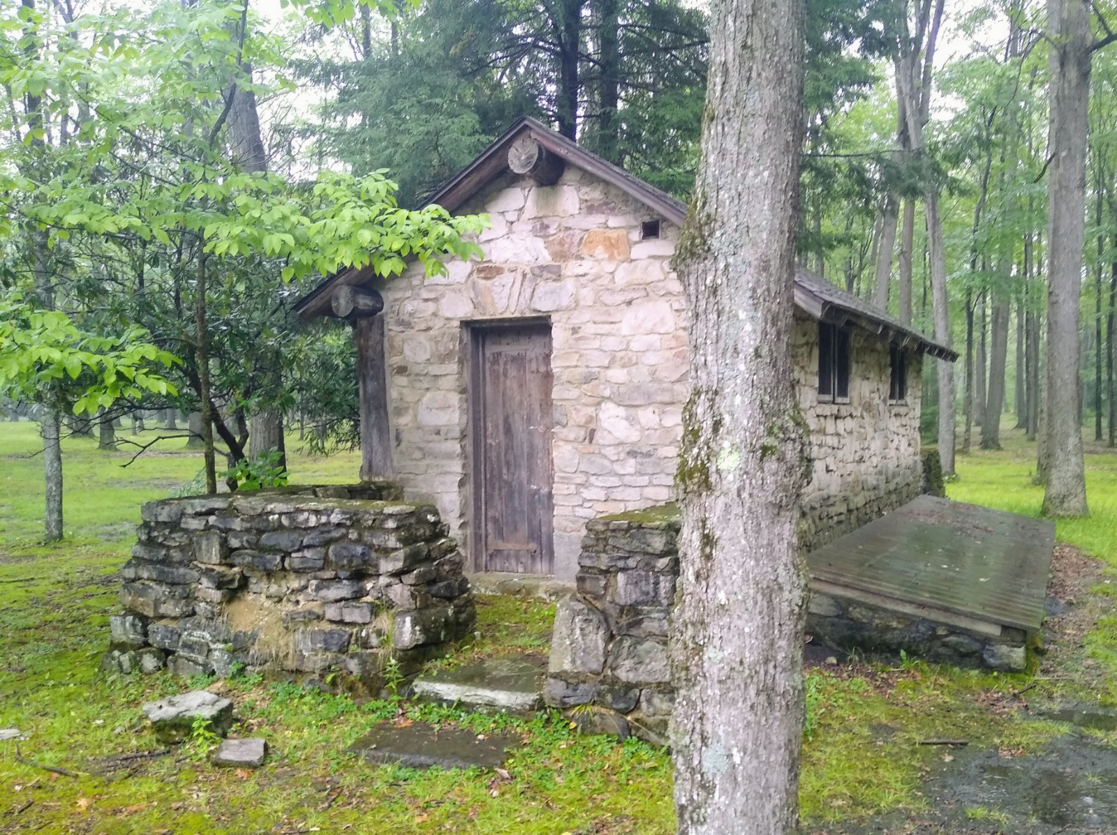 Simon B Elliott State Park