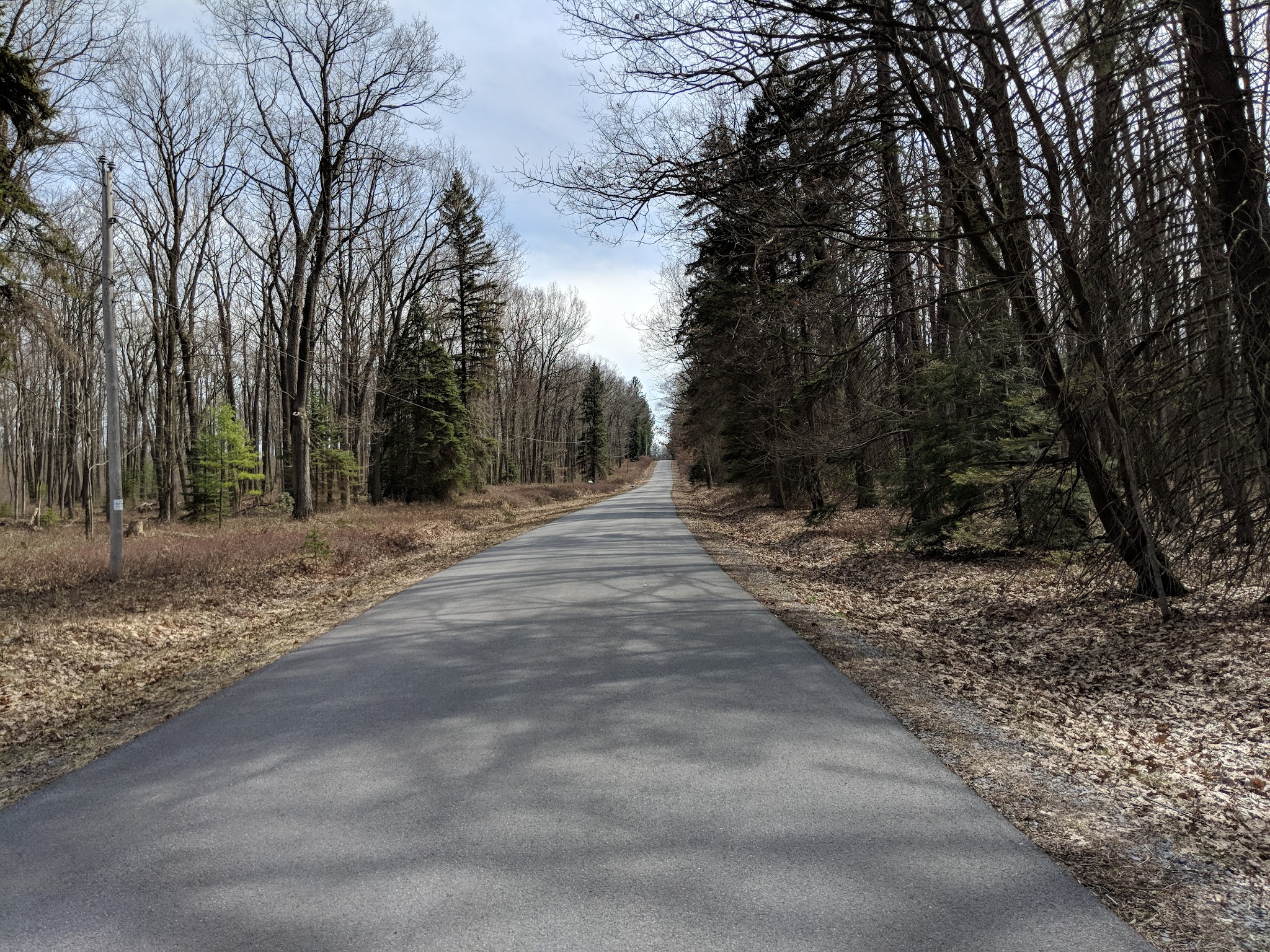 Simon B Elliott State Park