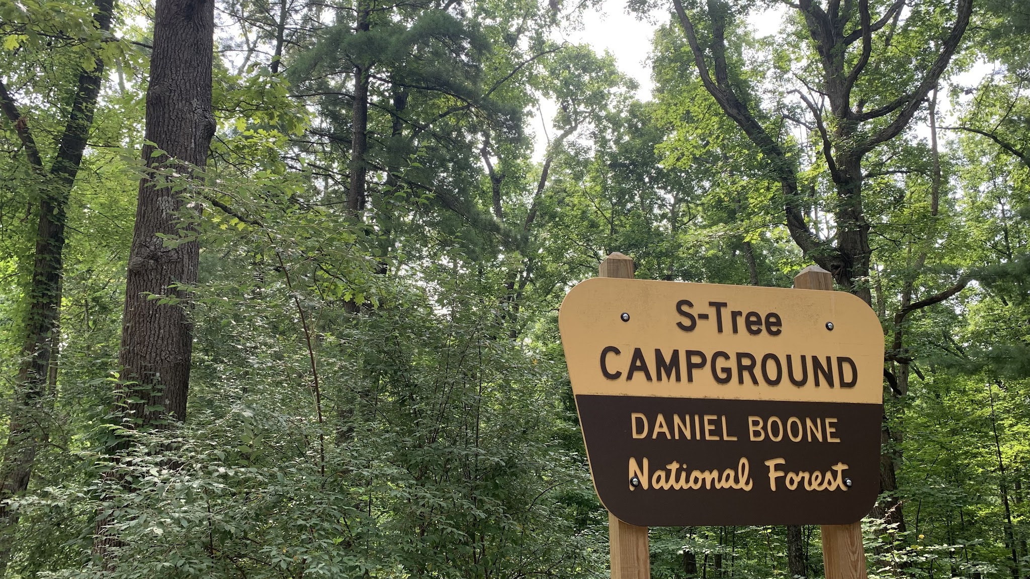 S-Tree Campground
