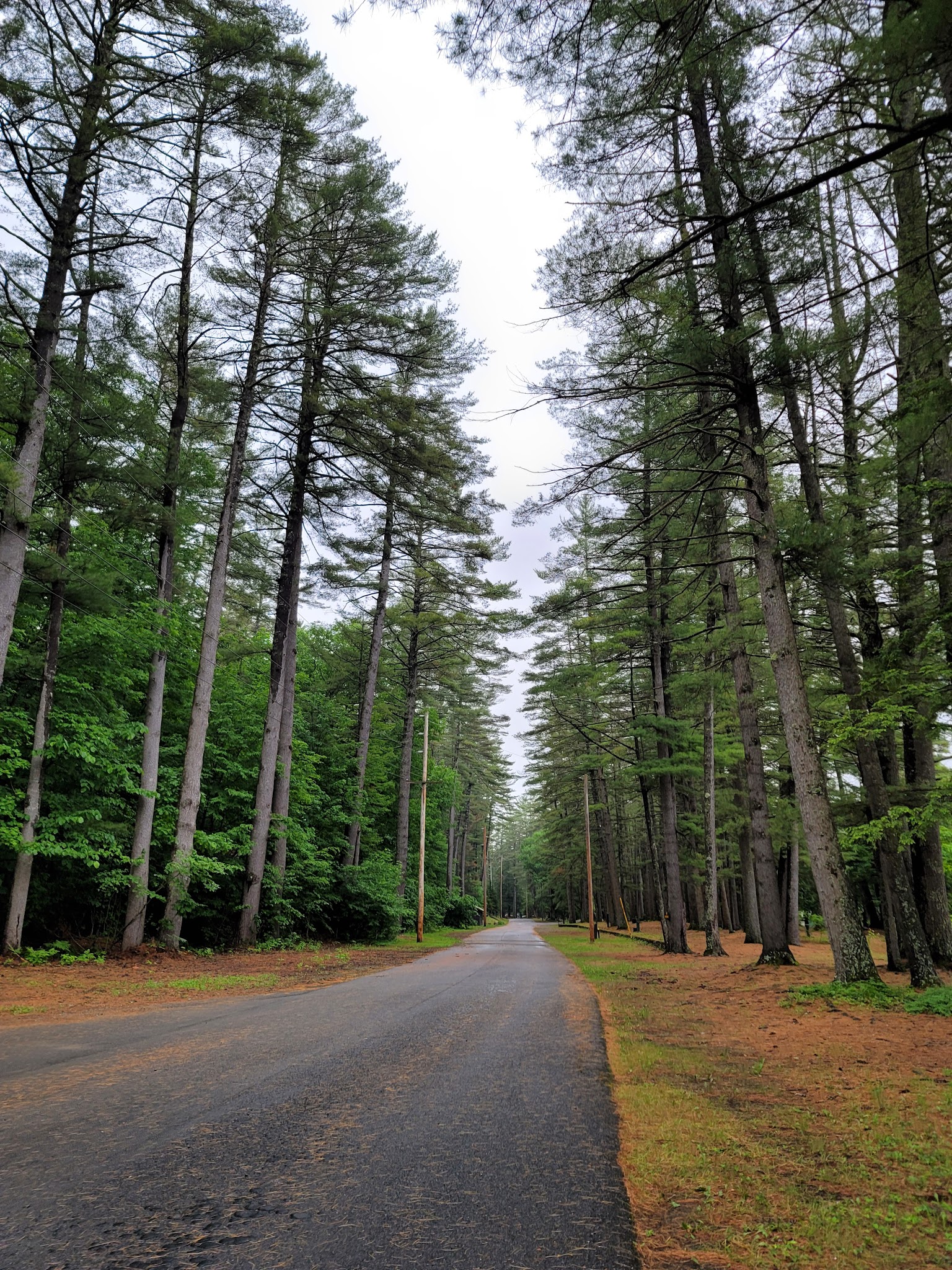 Sacandaga Campground