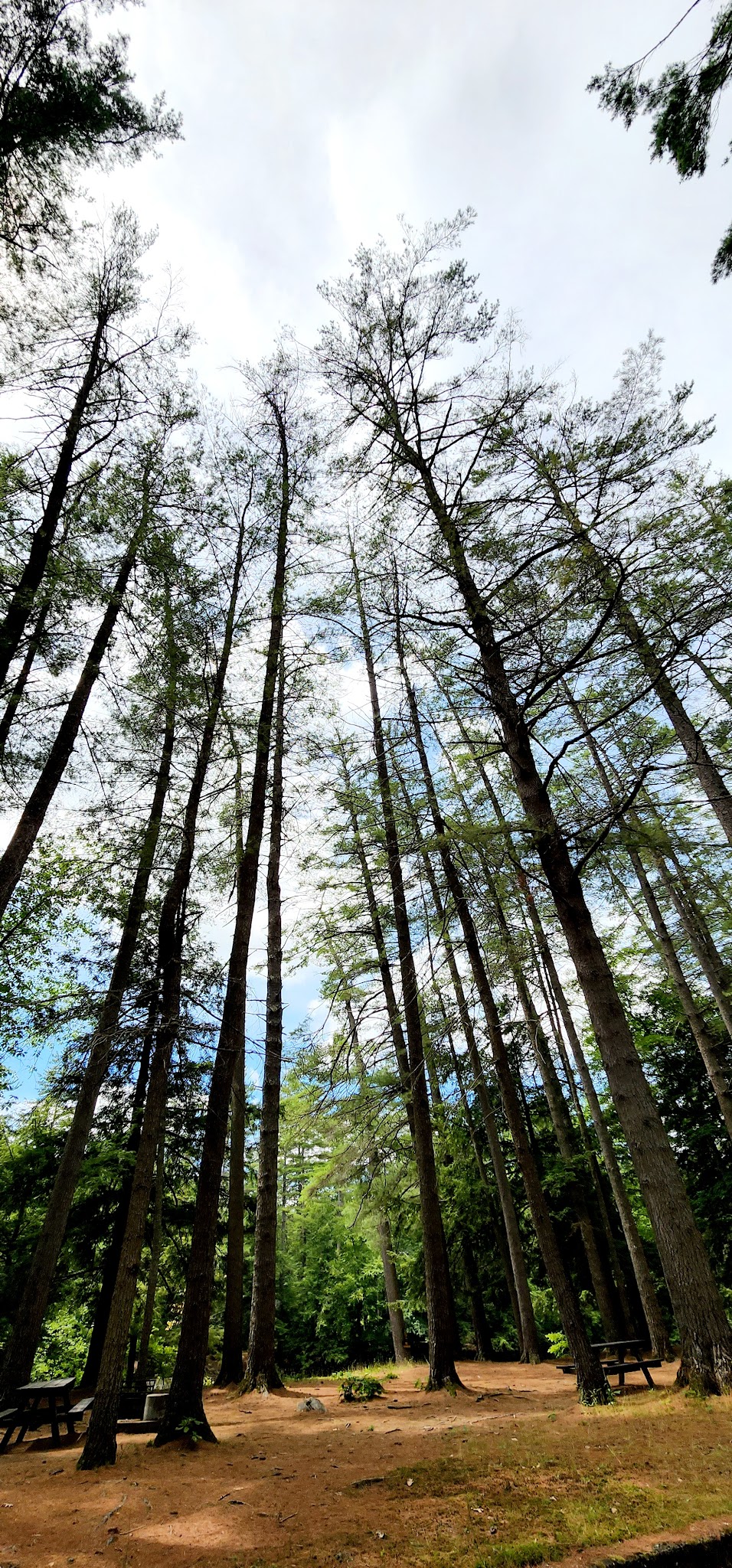 Sacandaga Campground