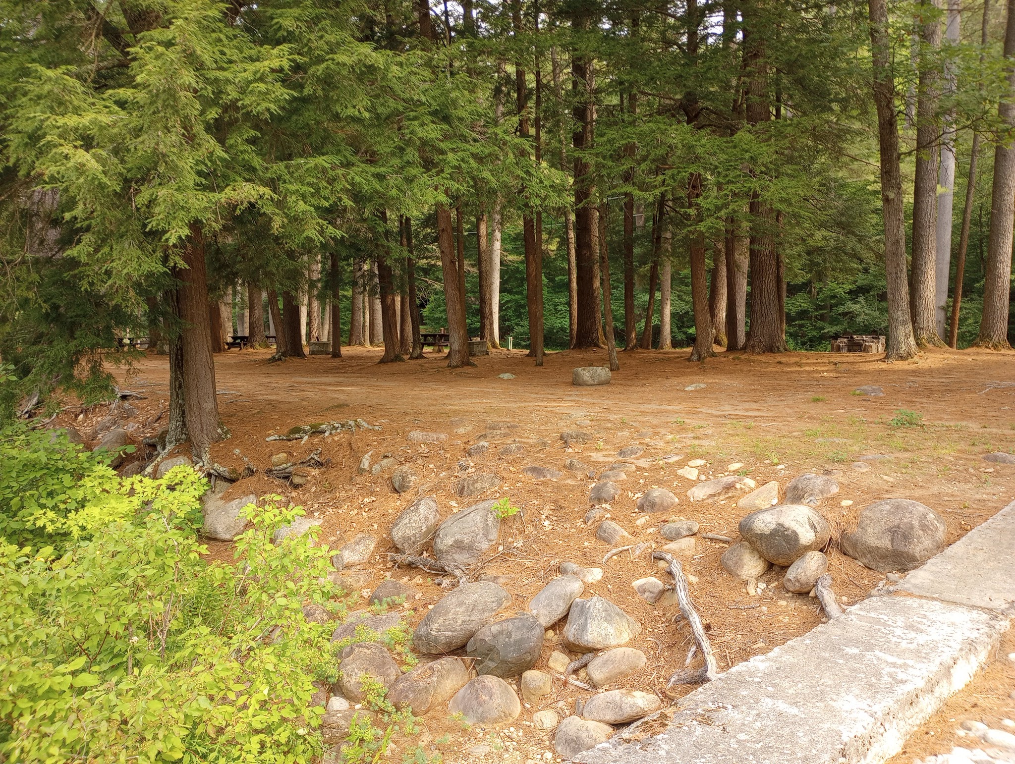 Sacandaga Campground