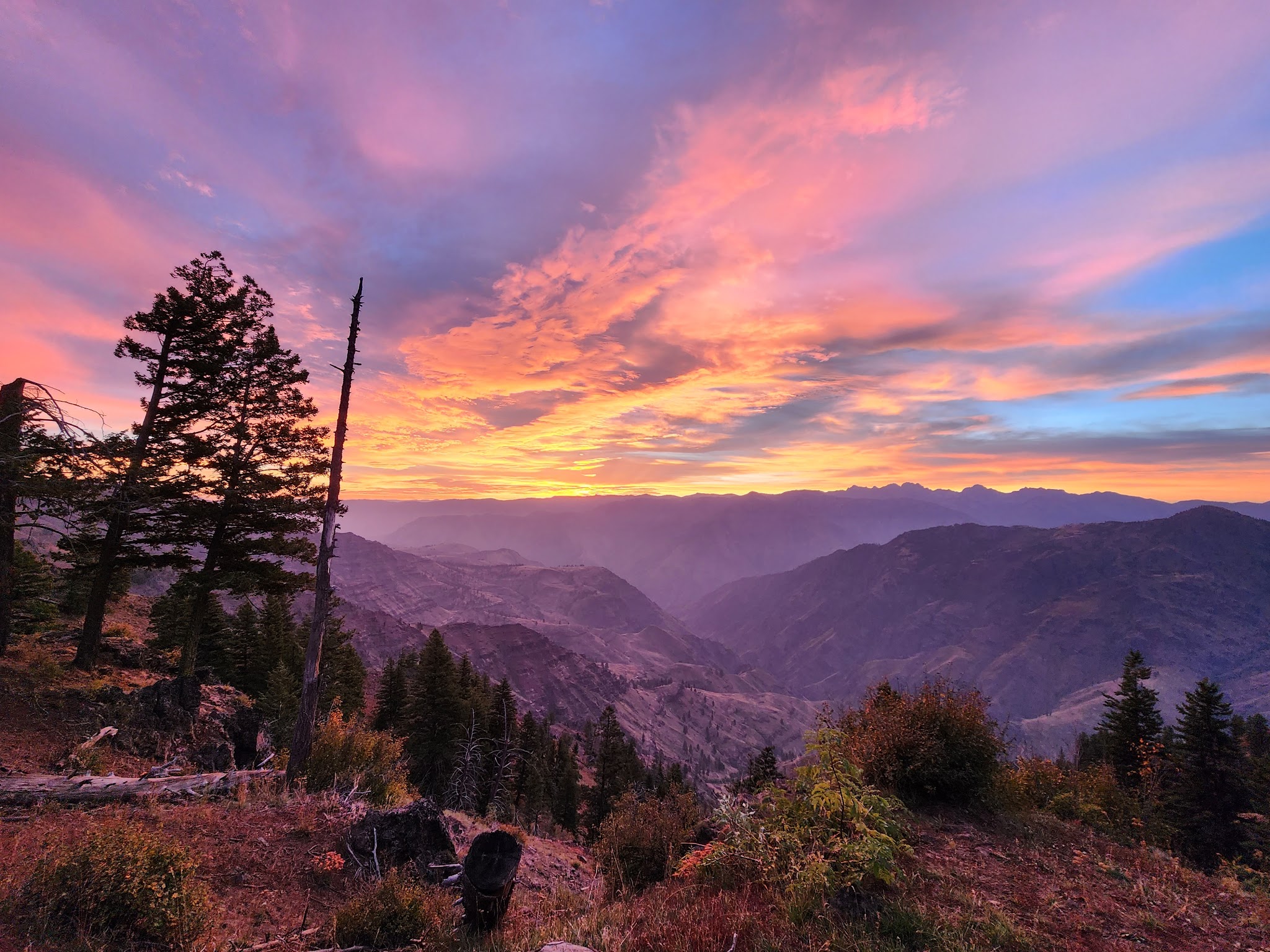 Saddle Creek Campground