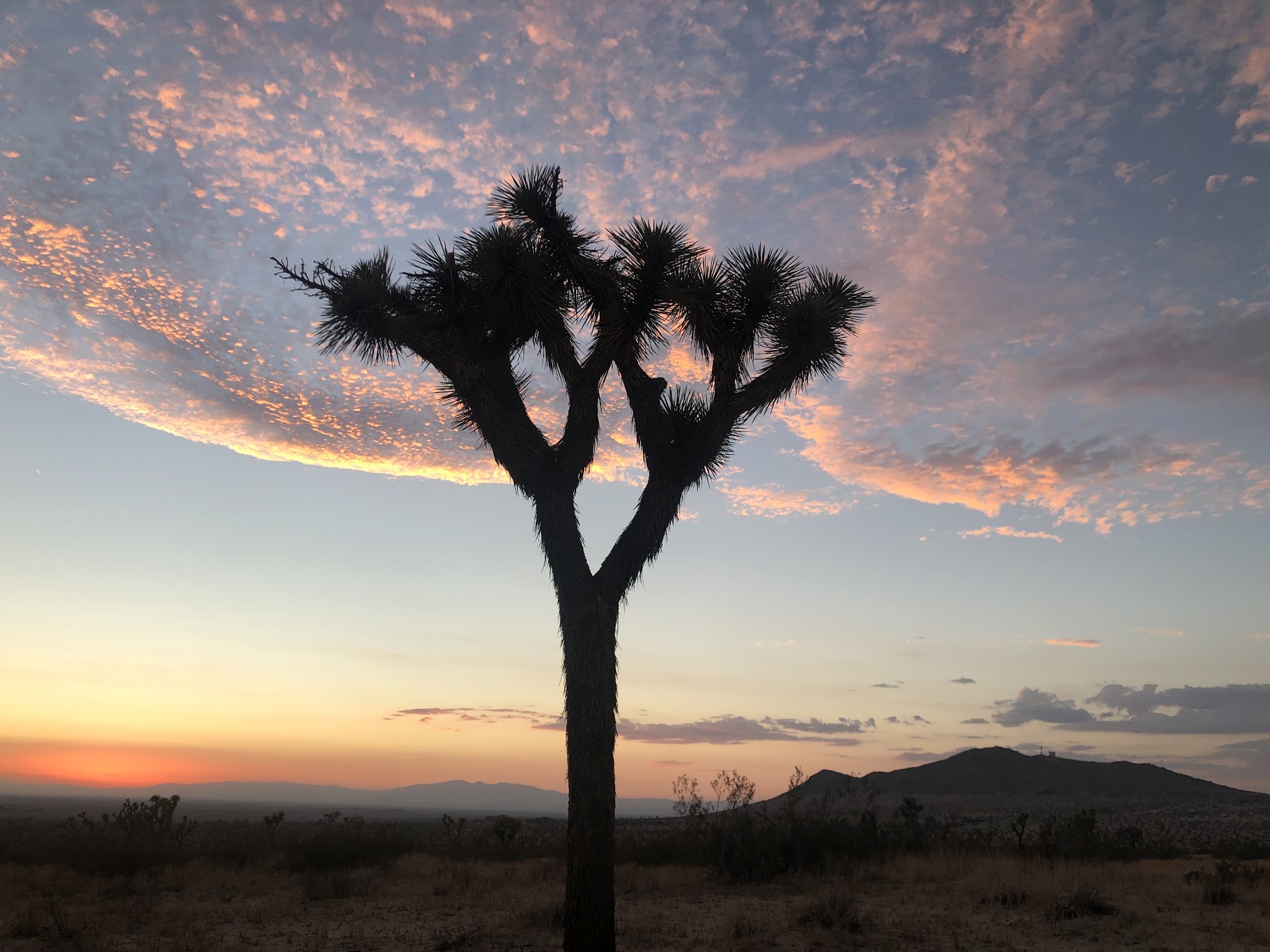 Saddleback Butte State Park Campground