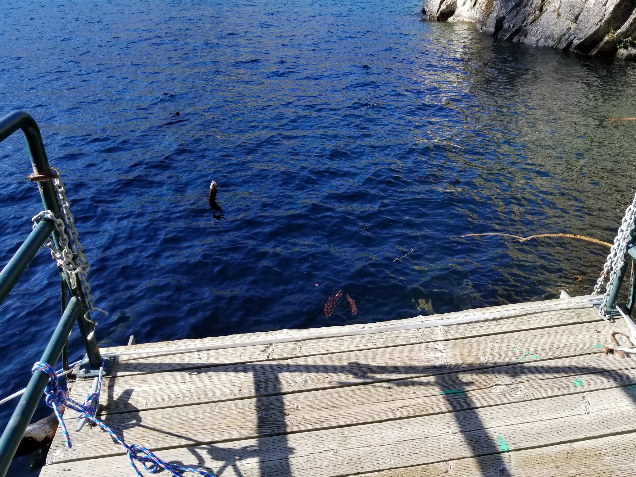 Safety Harbor Campground [Closed]