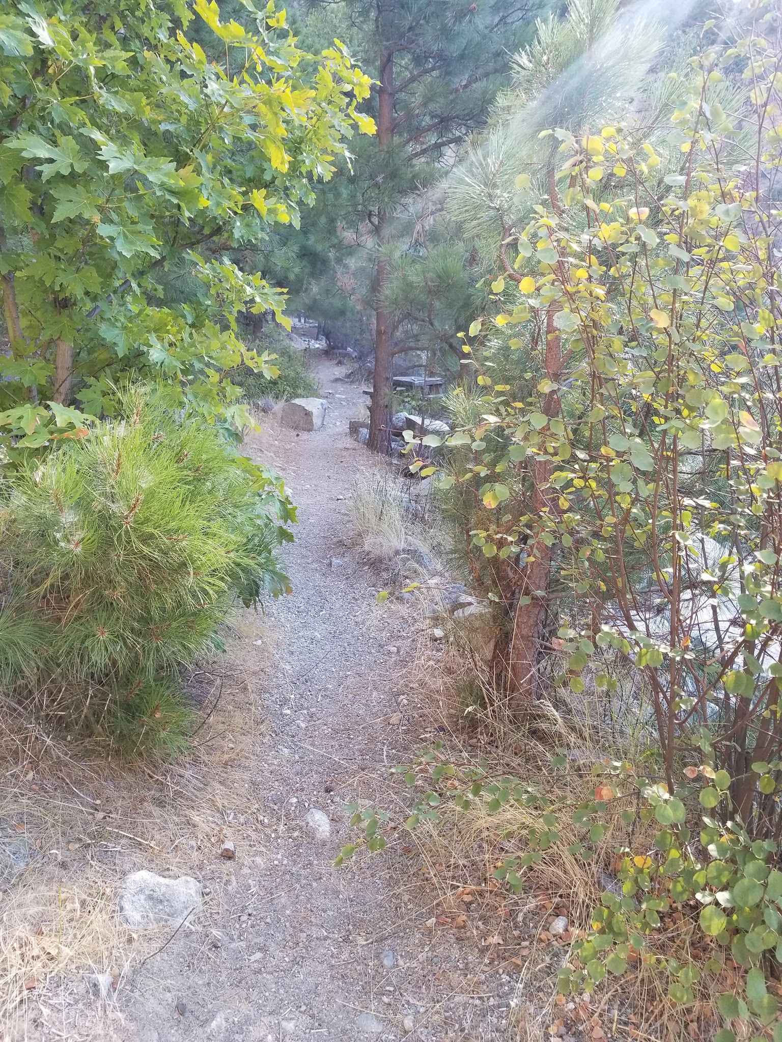 Safety Harbor Campground [Closed]