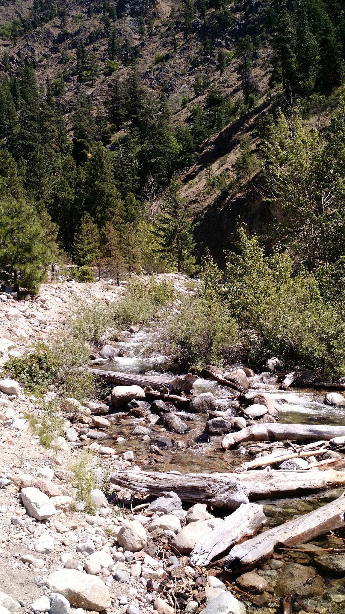 Safety Harbor Campground [Closed]