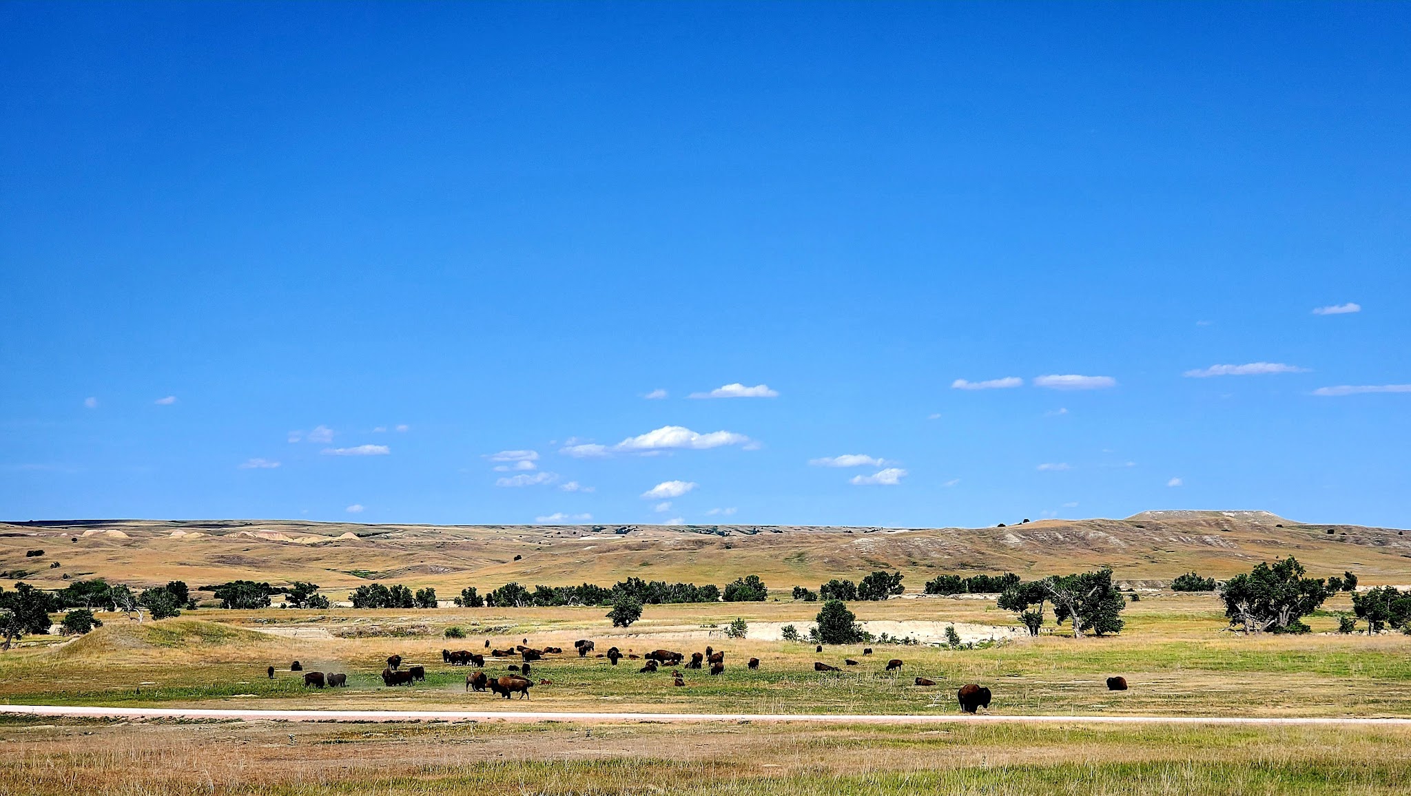 Sage Creek Campground