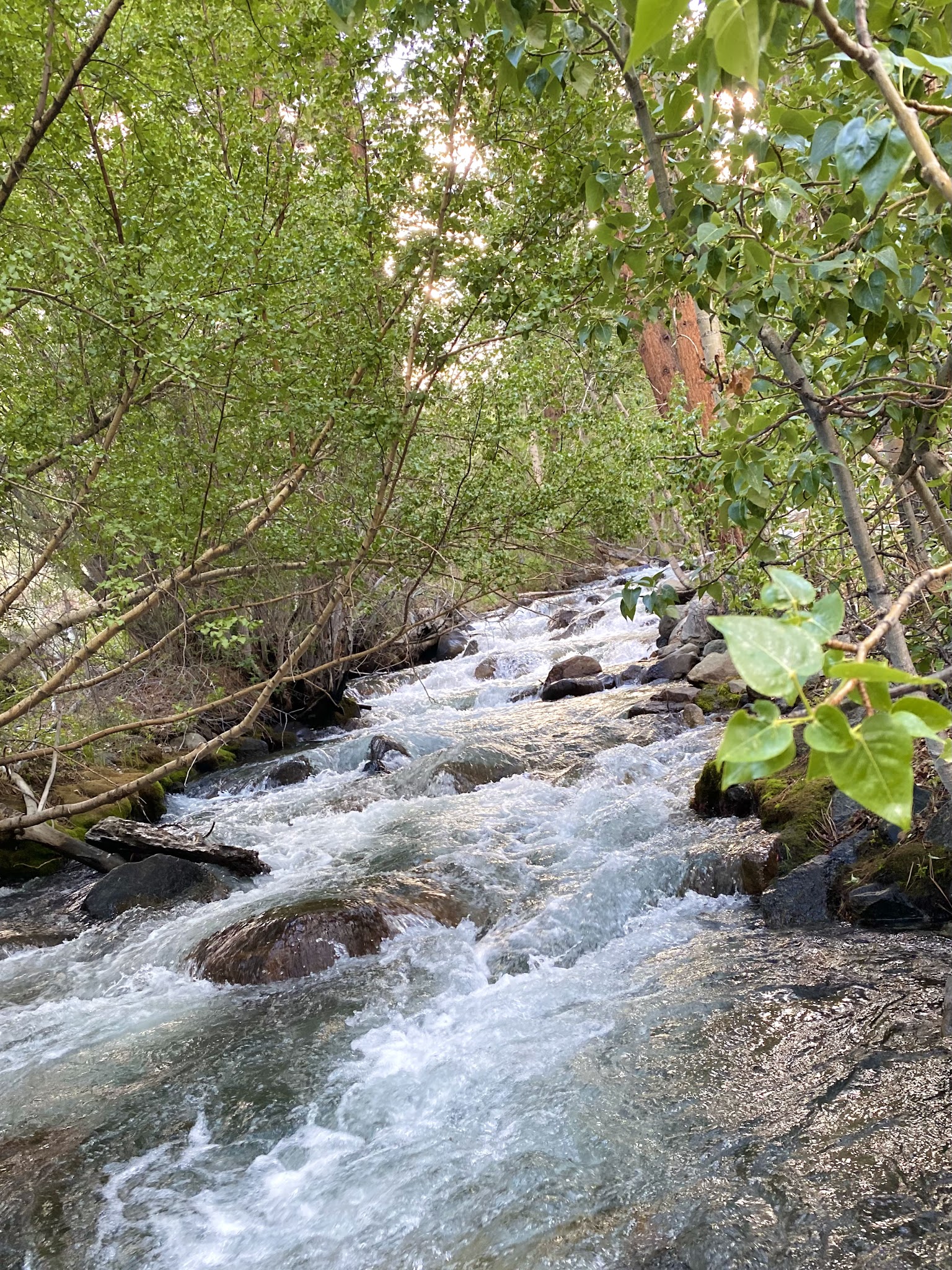 Sage Flat Campground