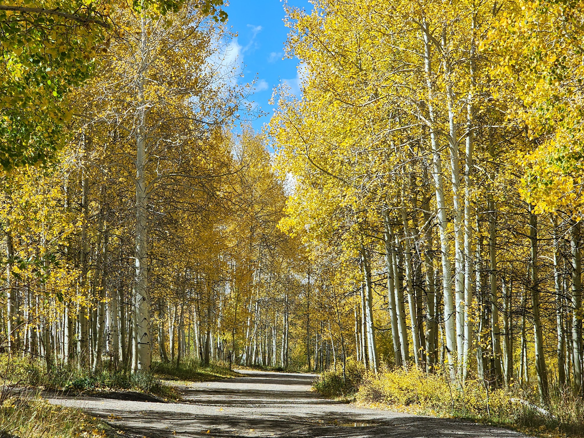 Salina Reservoir Cua Dispersed