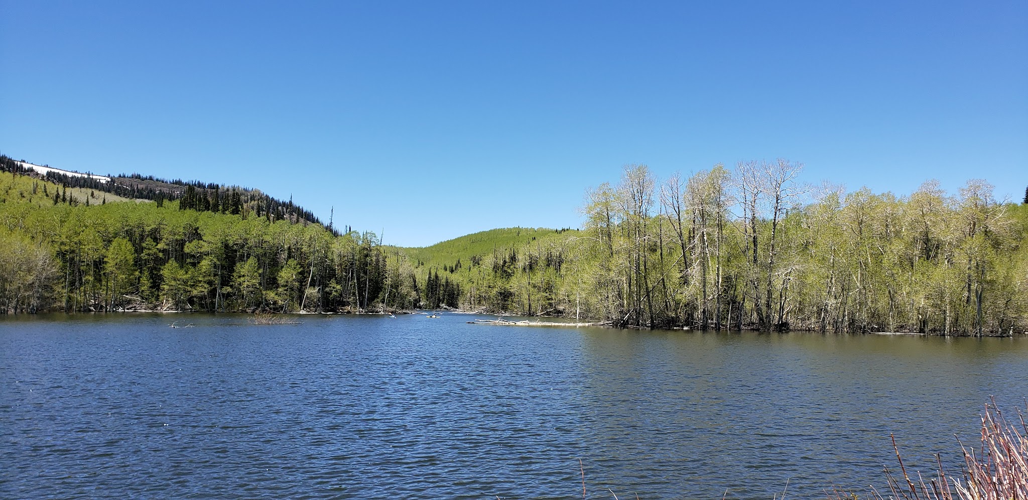 Salina Reservoir Cua Dispersed