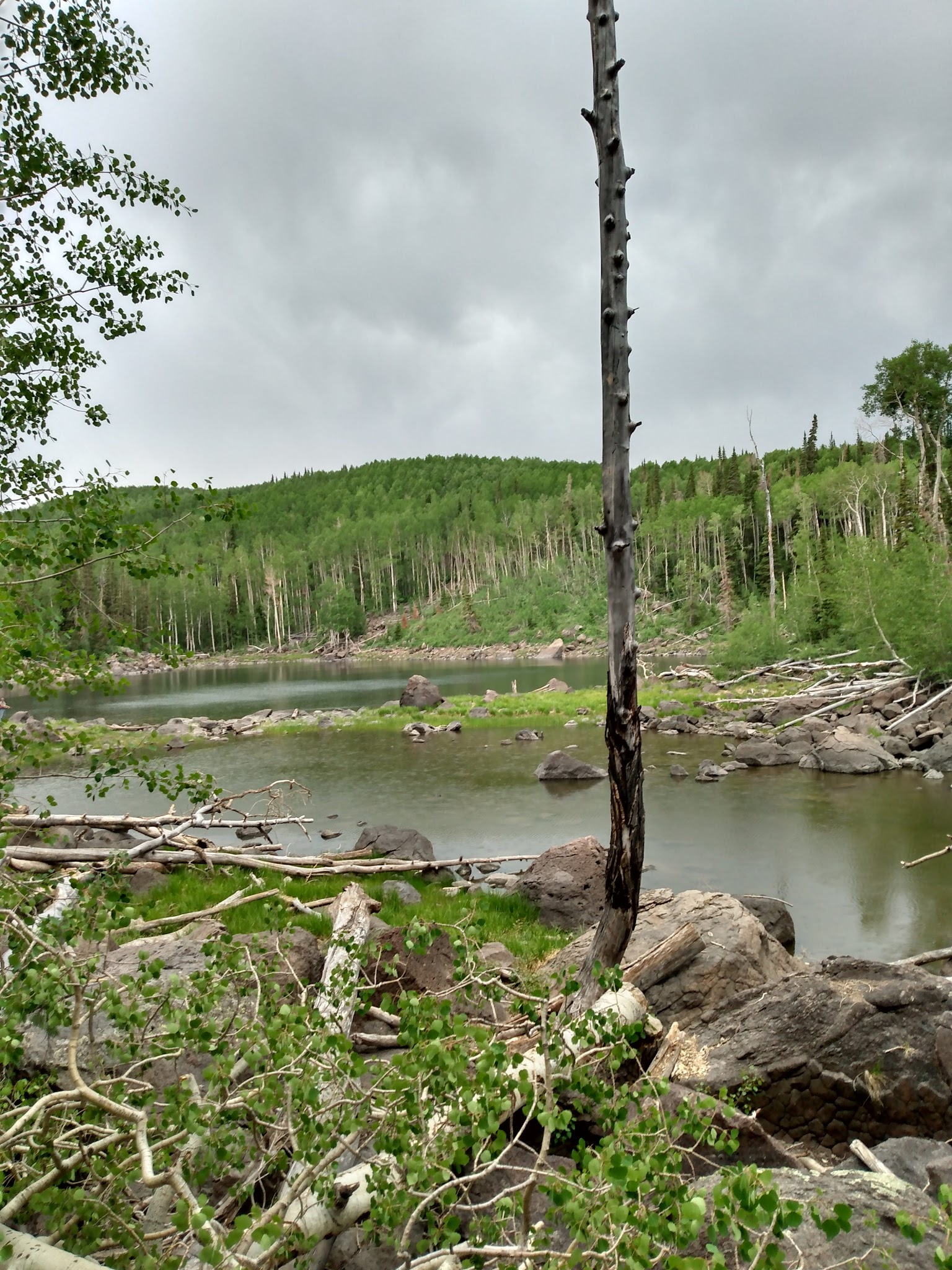 Salina Reservoir Cua Dispersed
