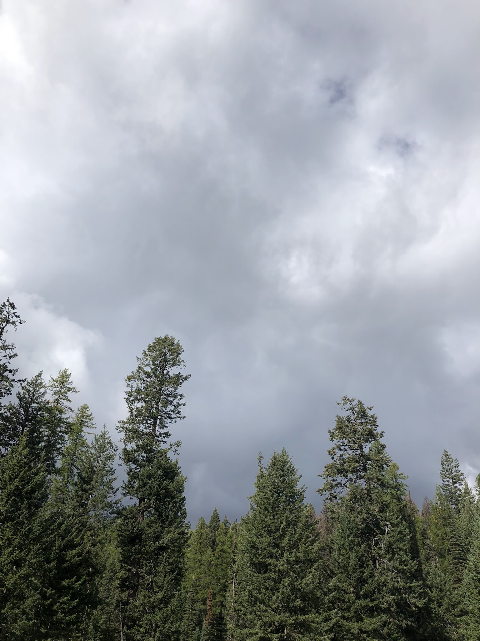 Salmon Meadows Campground