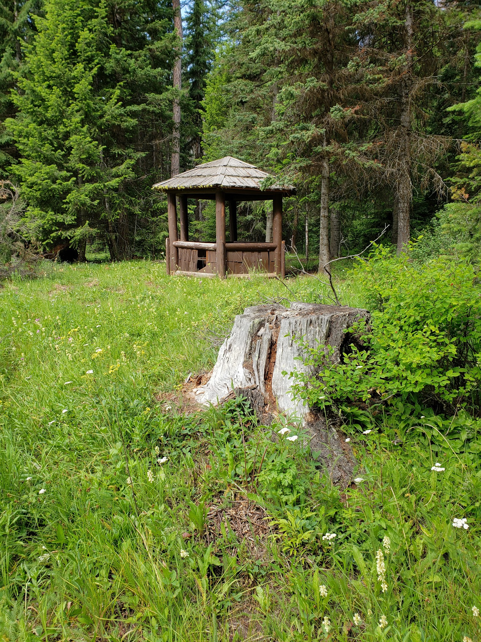 Salmon Meadows Campground