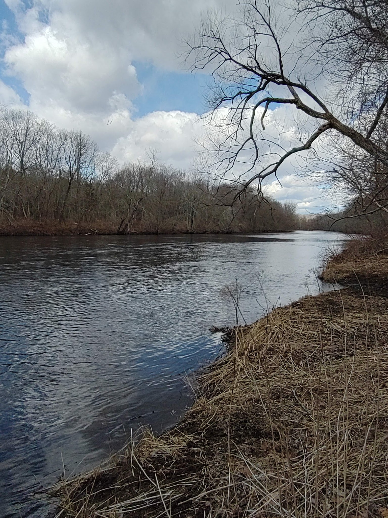 Salt Rock Campground