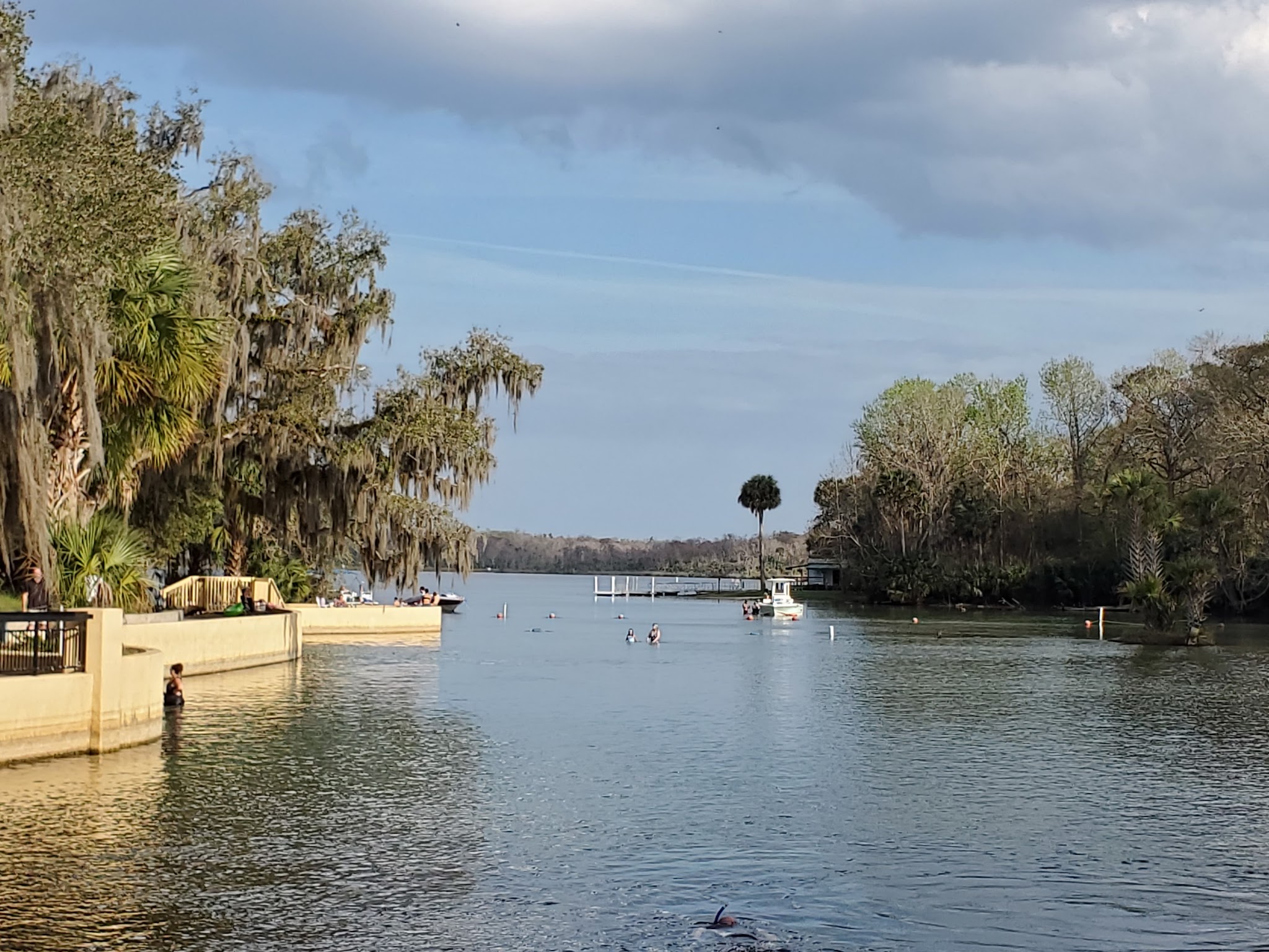 Salt Springs Recreation Area