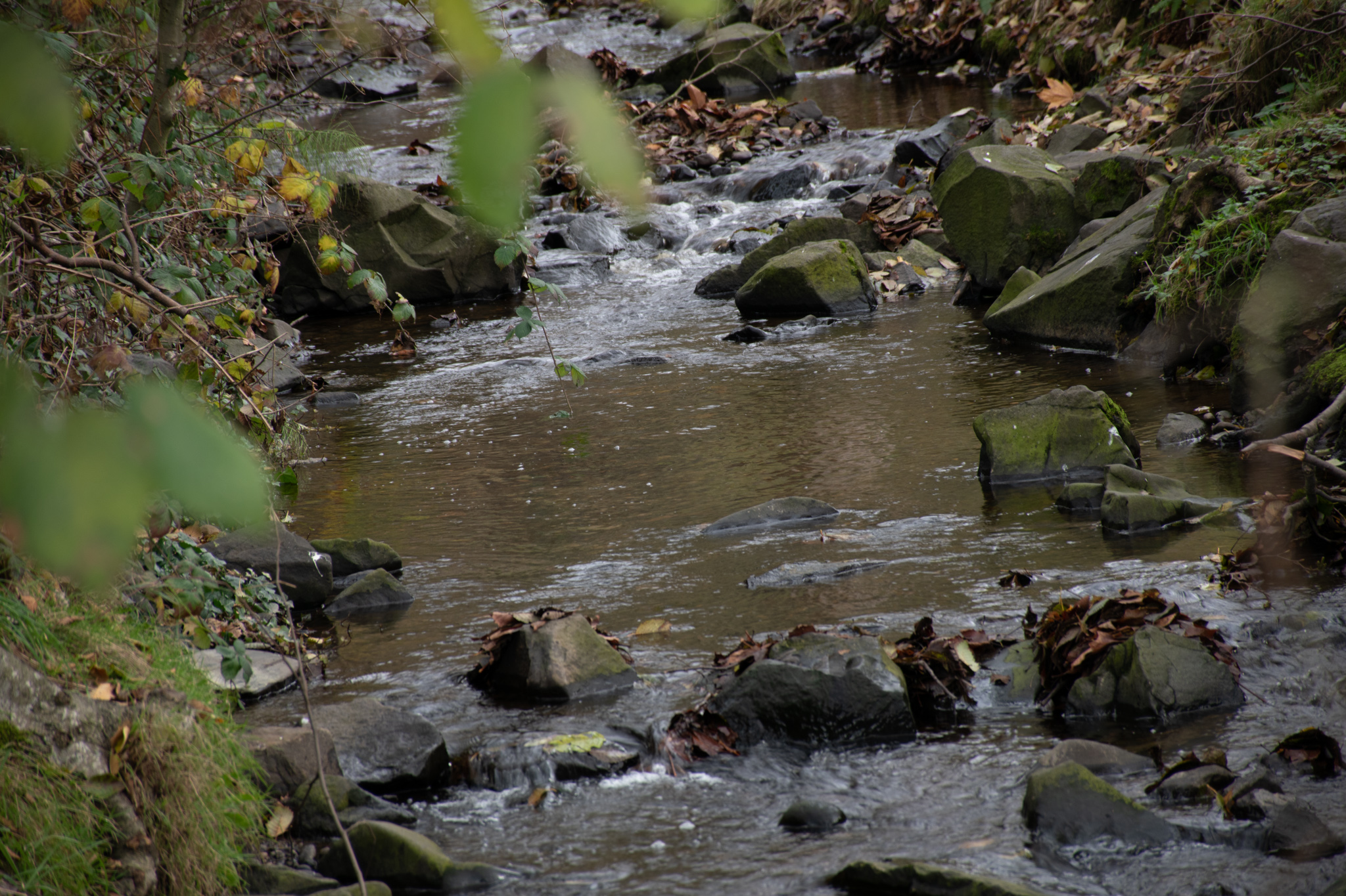 Saltwater State Park