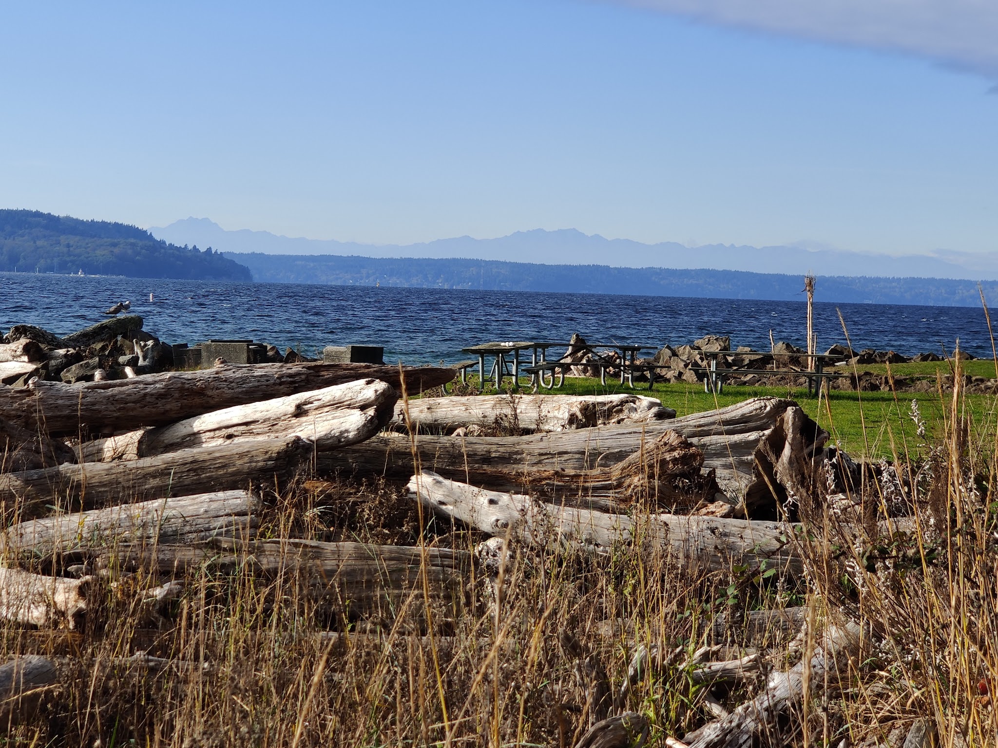 Saltwater State Park