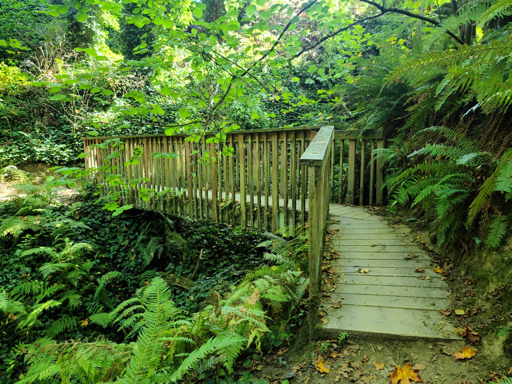 Saltwater State Park